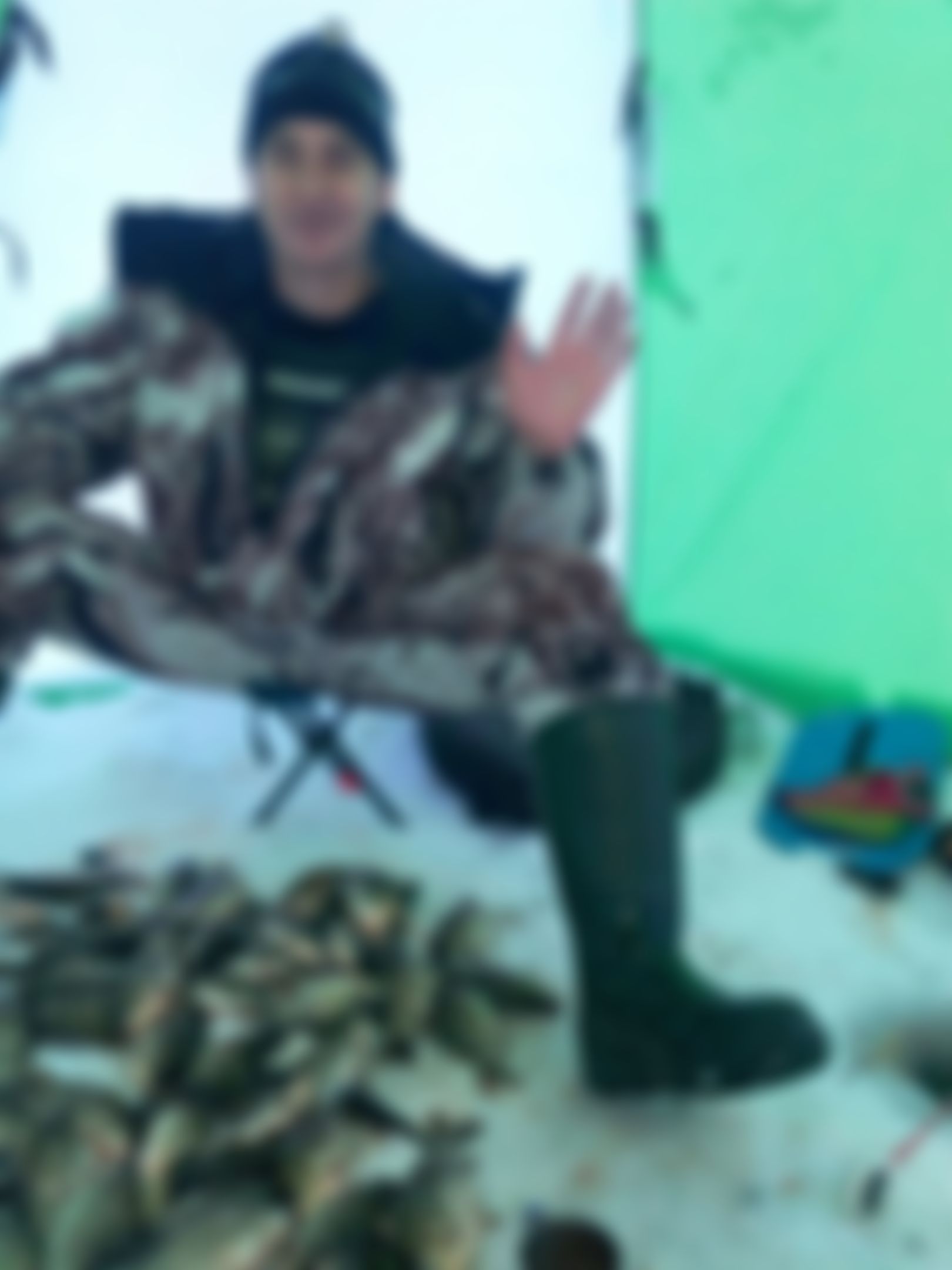 Фотография