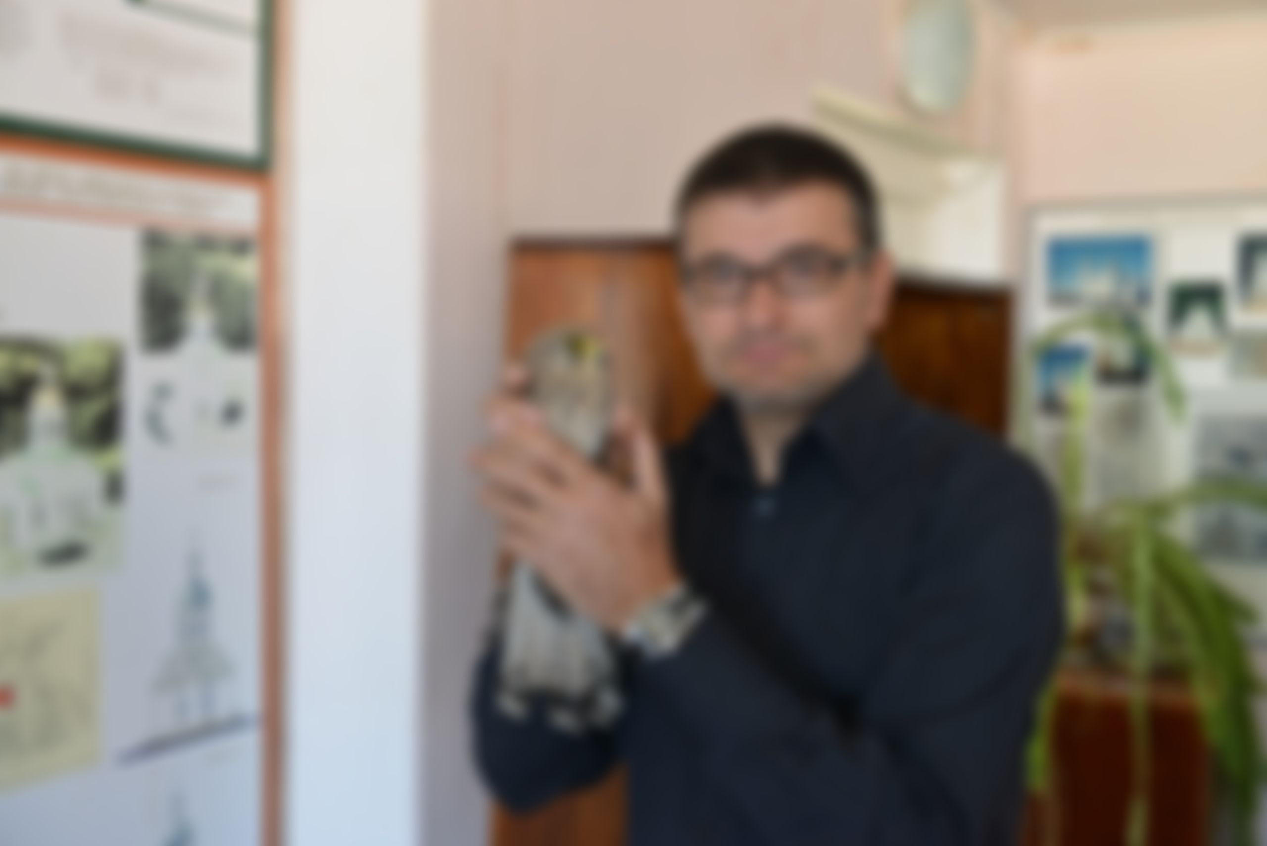 Фотография
