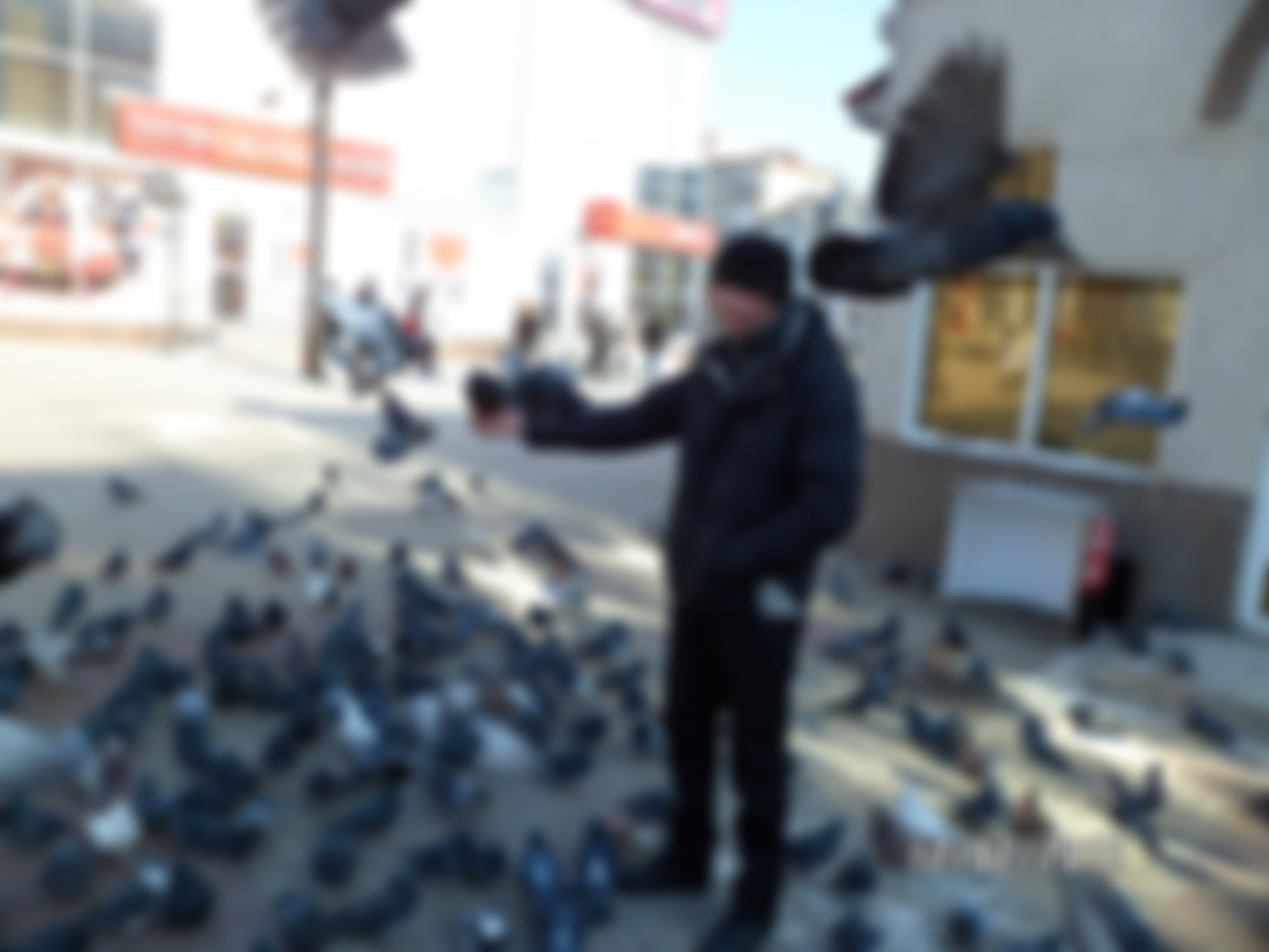 Фотография