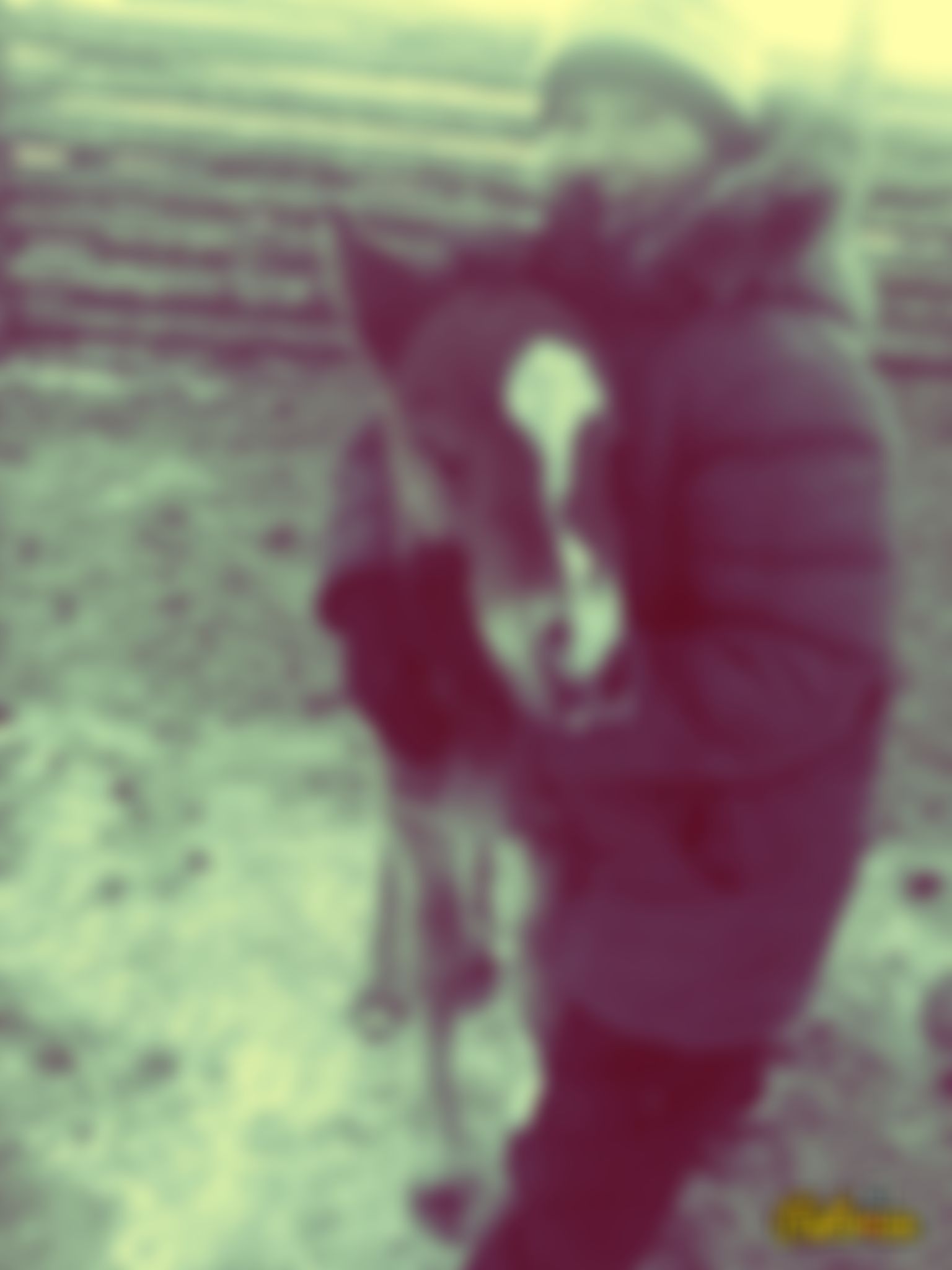 Фотография
