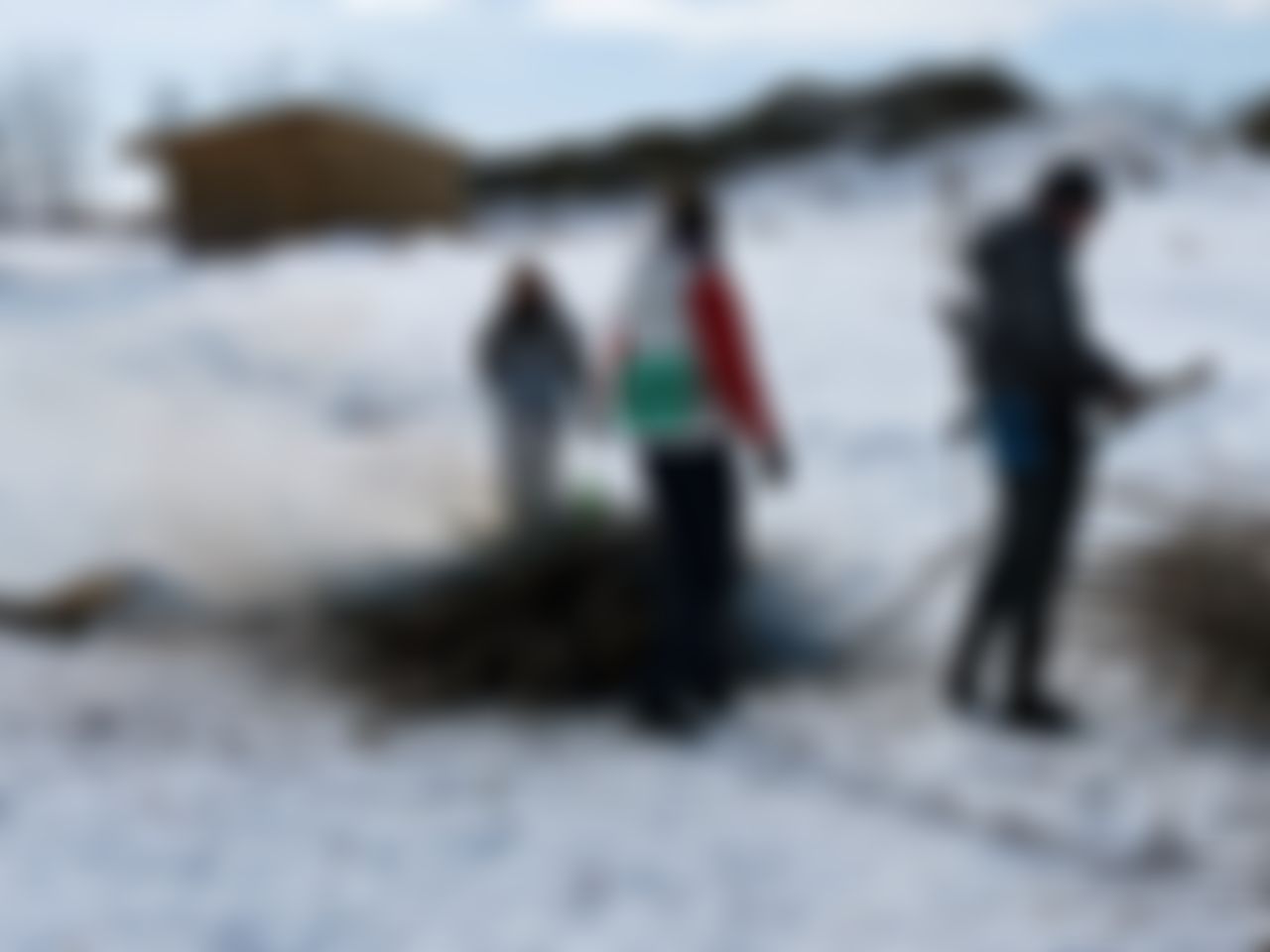 Фотография