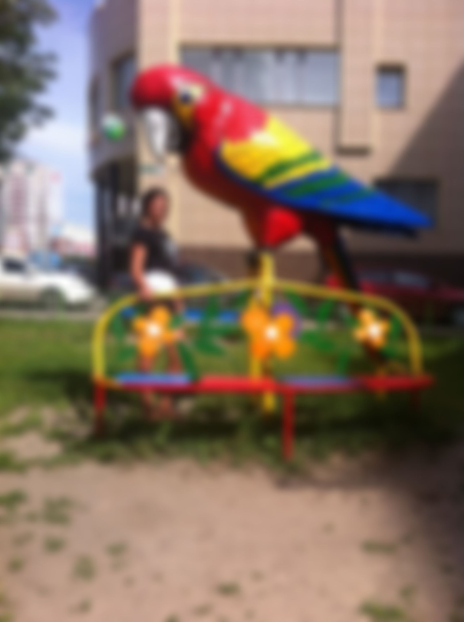 Фотография