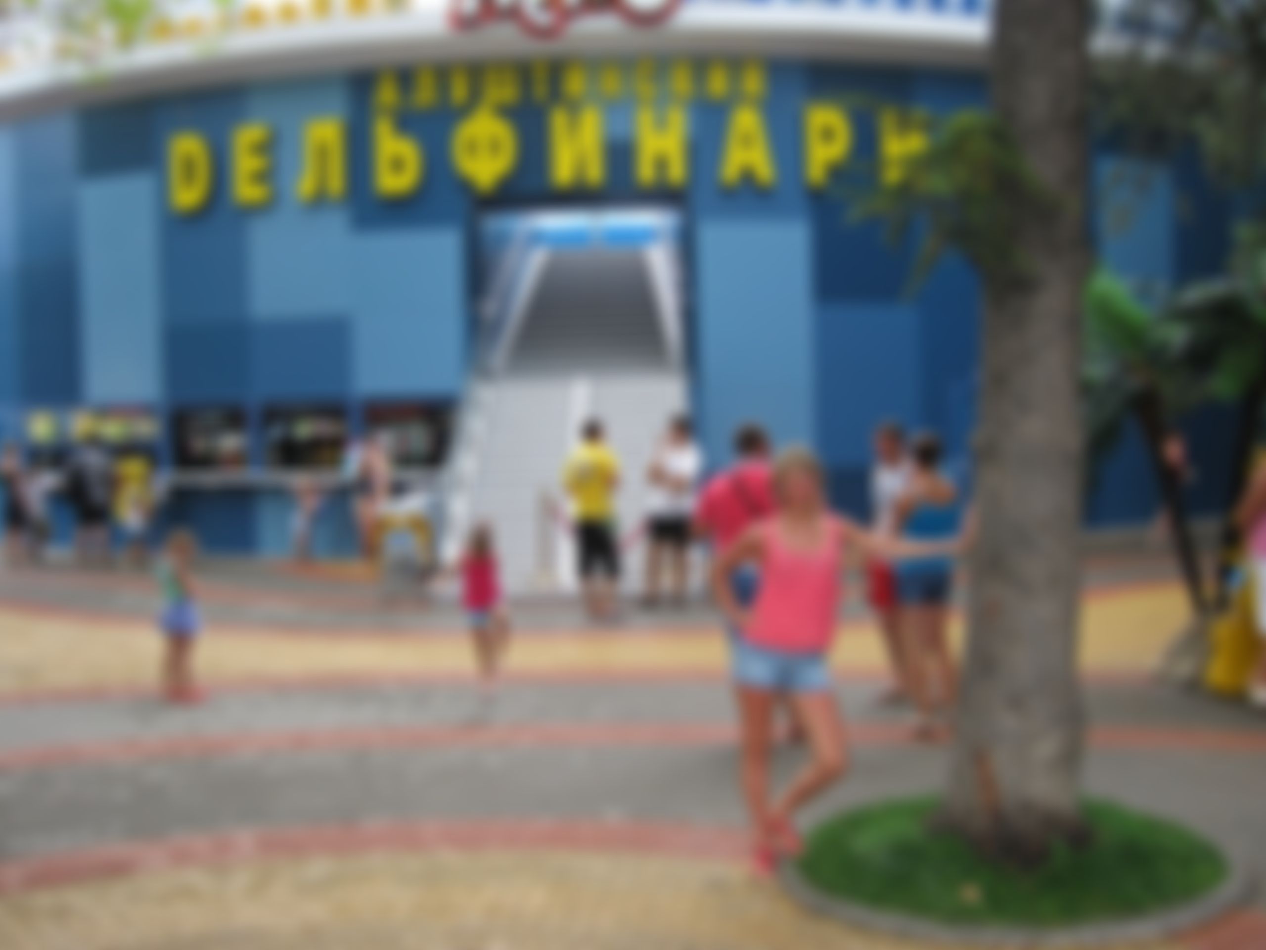 Фотография