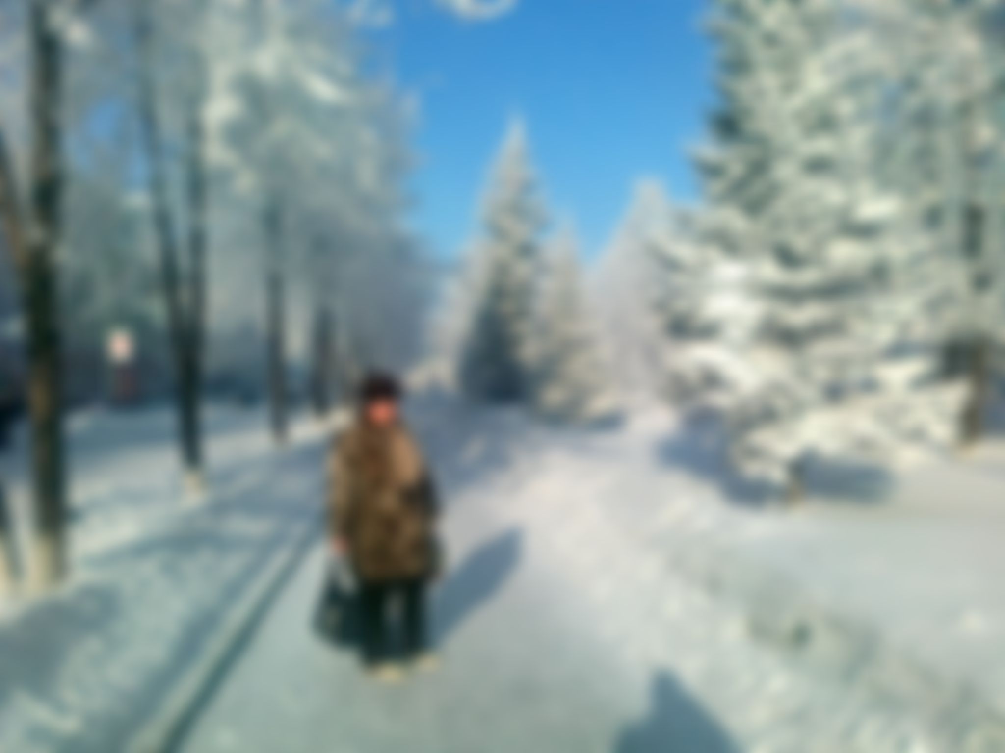 Фотография