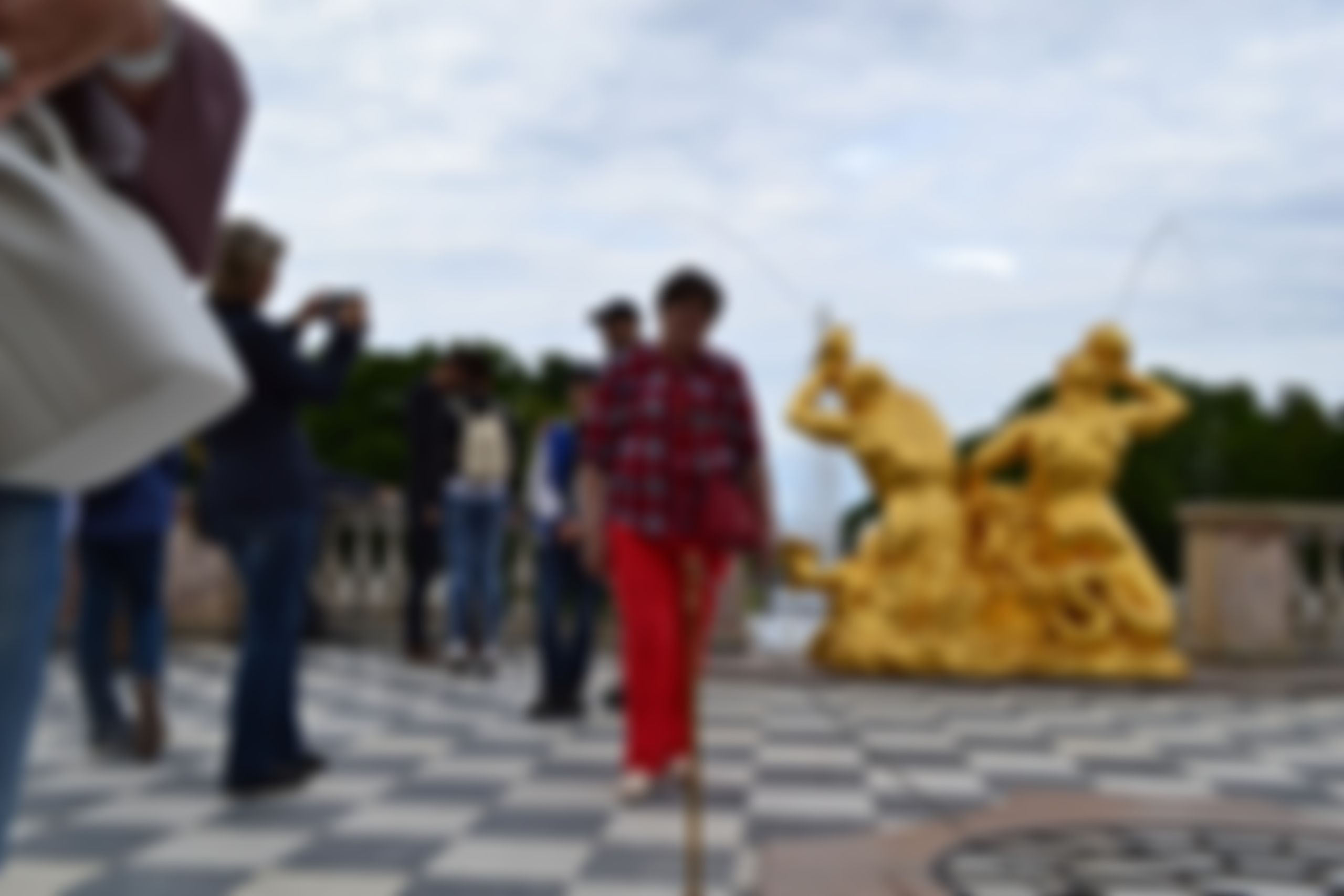 Фотография
