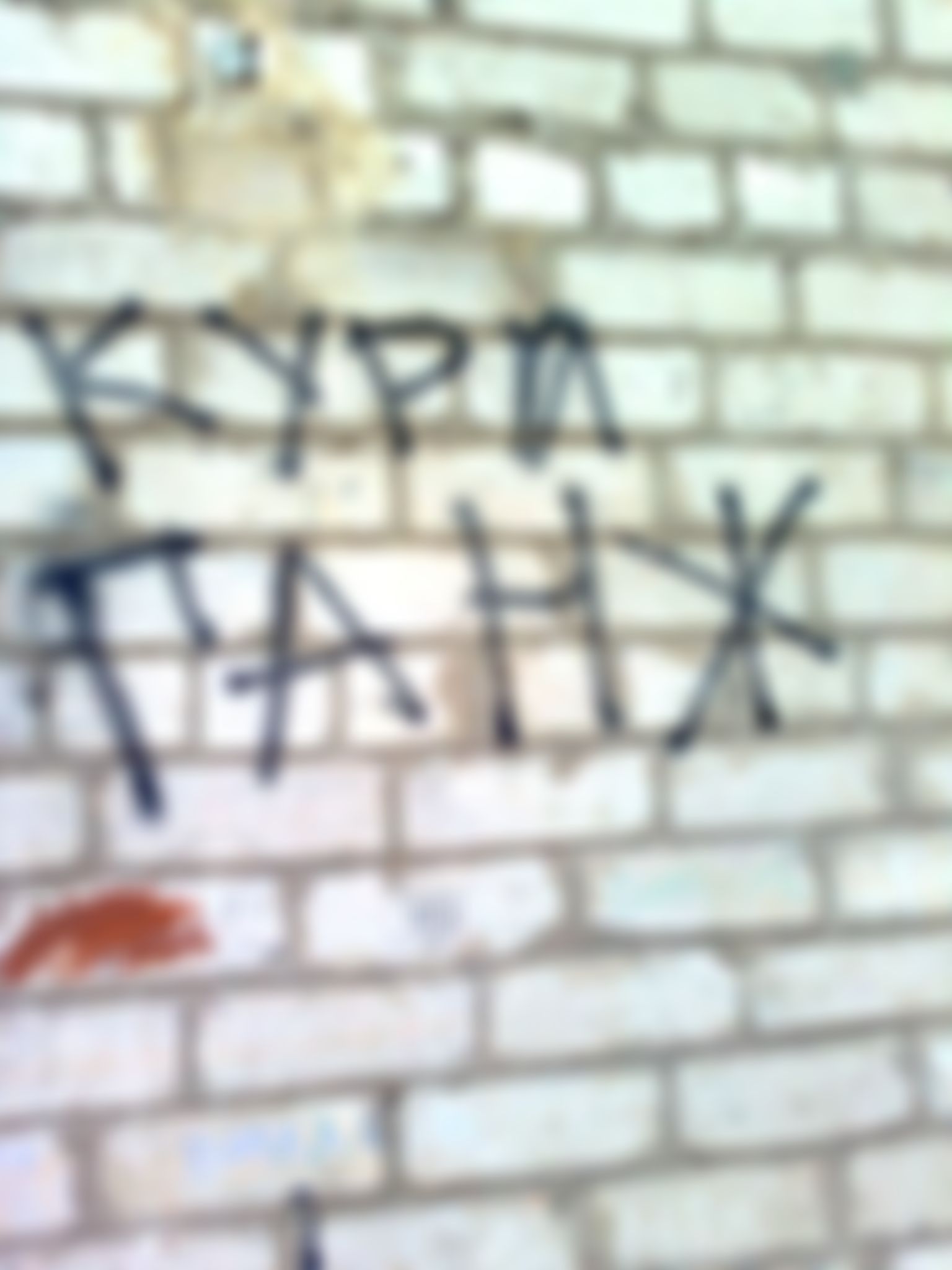Фотография
