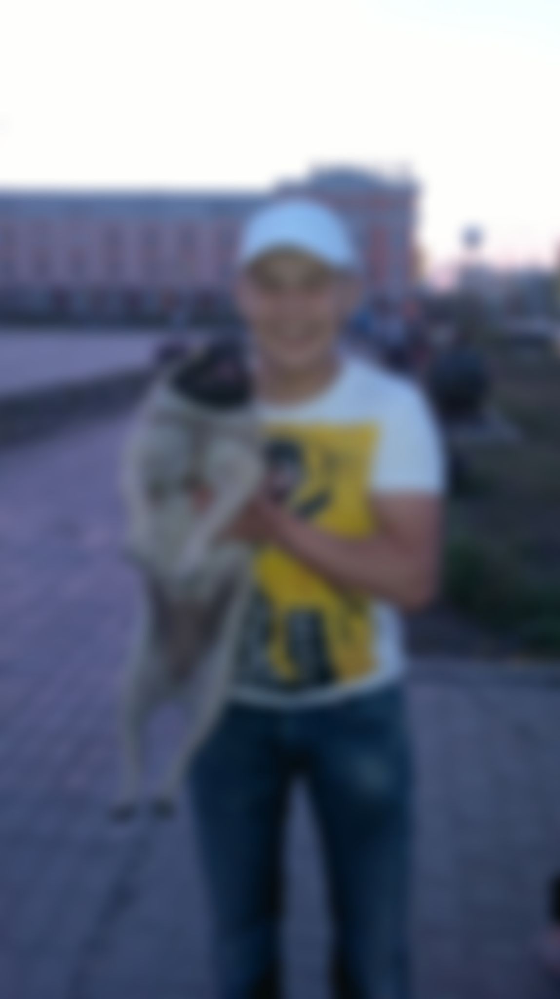 Фотография