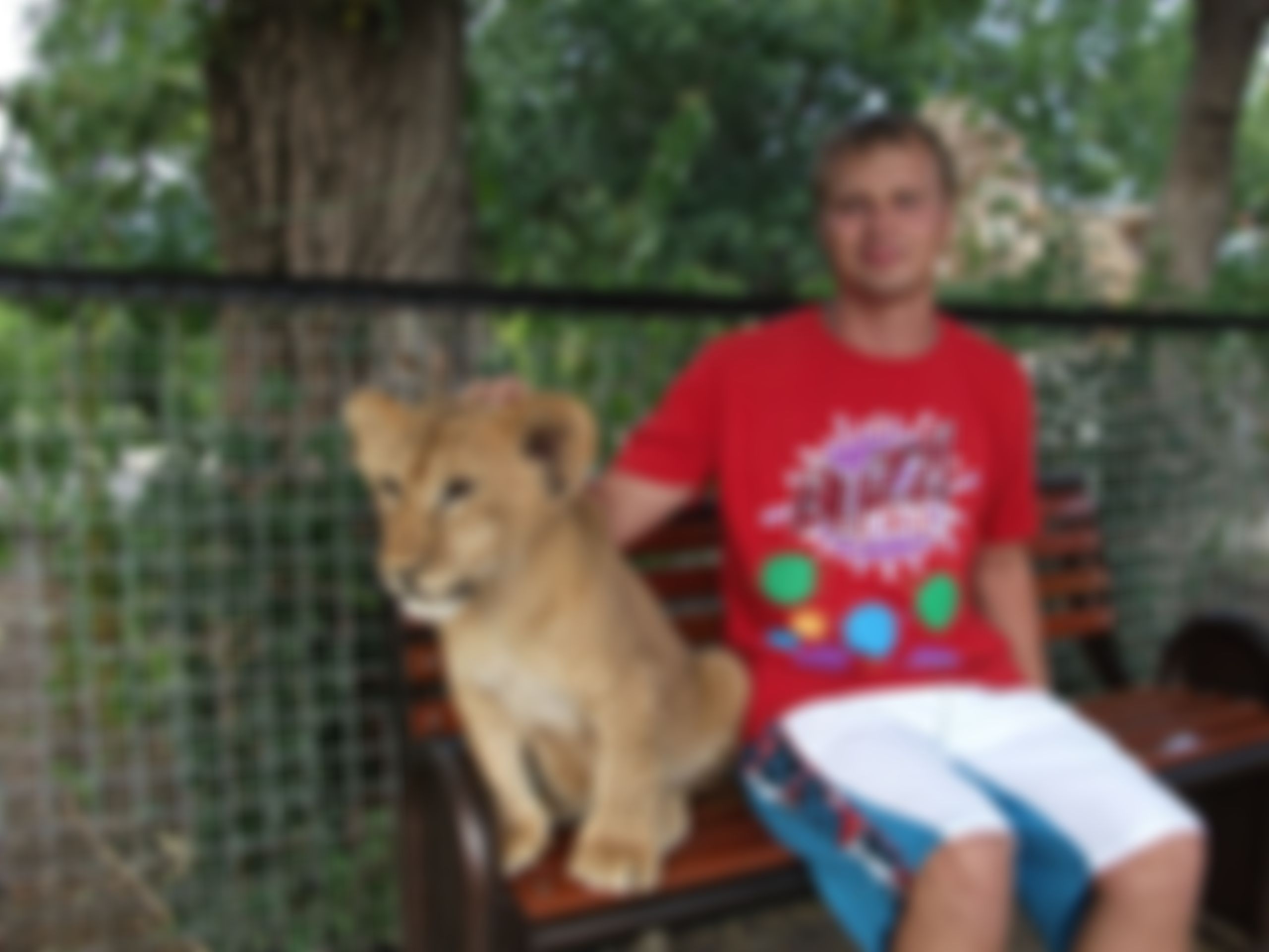 Фотография