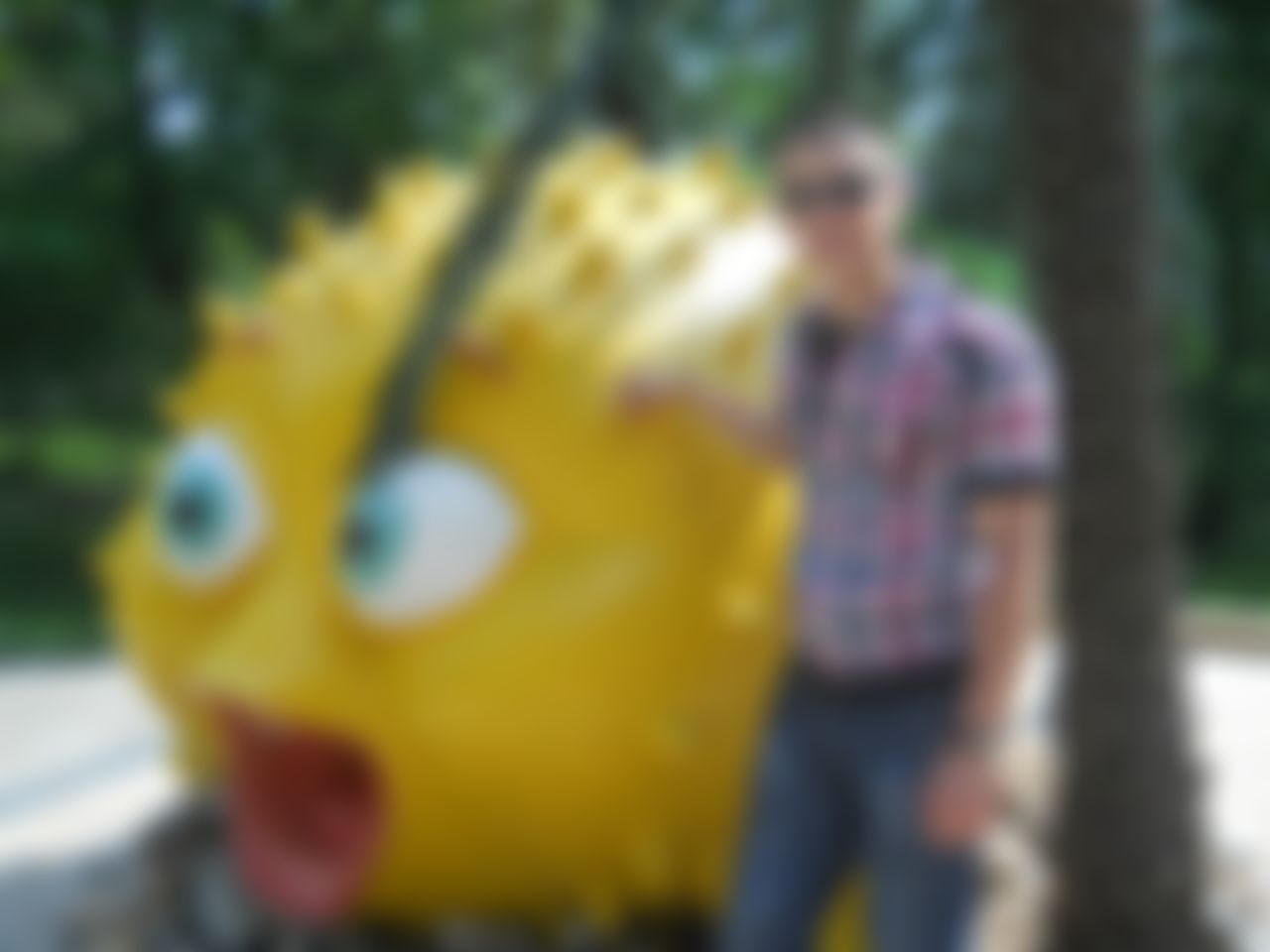 Фотография