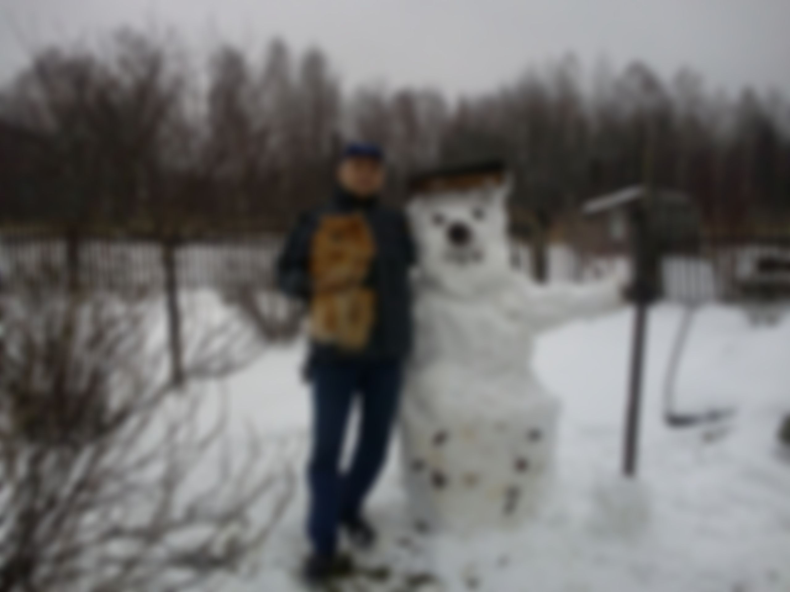 Фотография