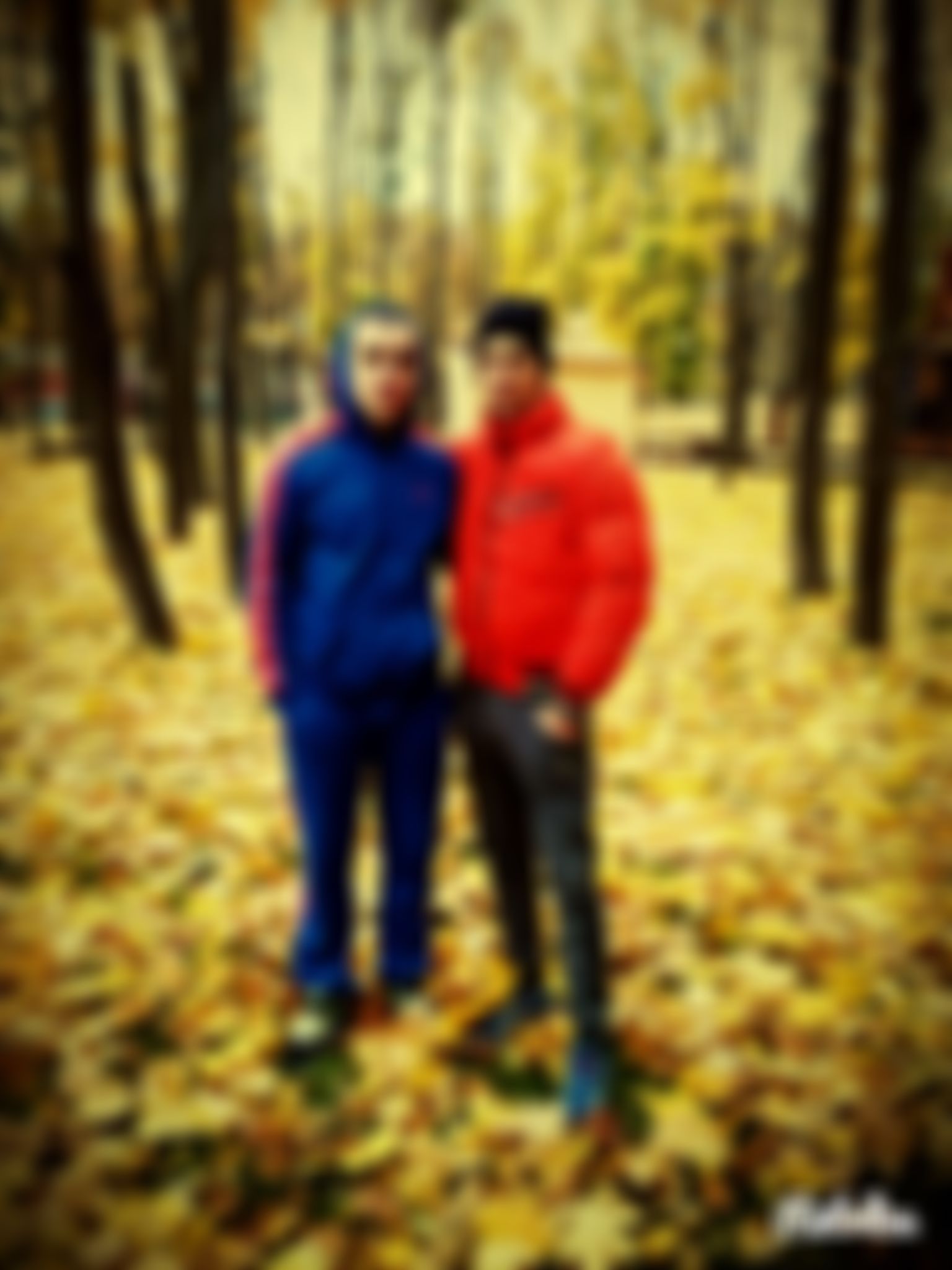Фотография