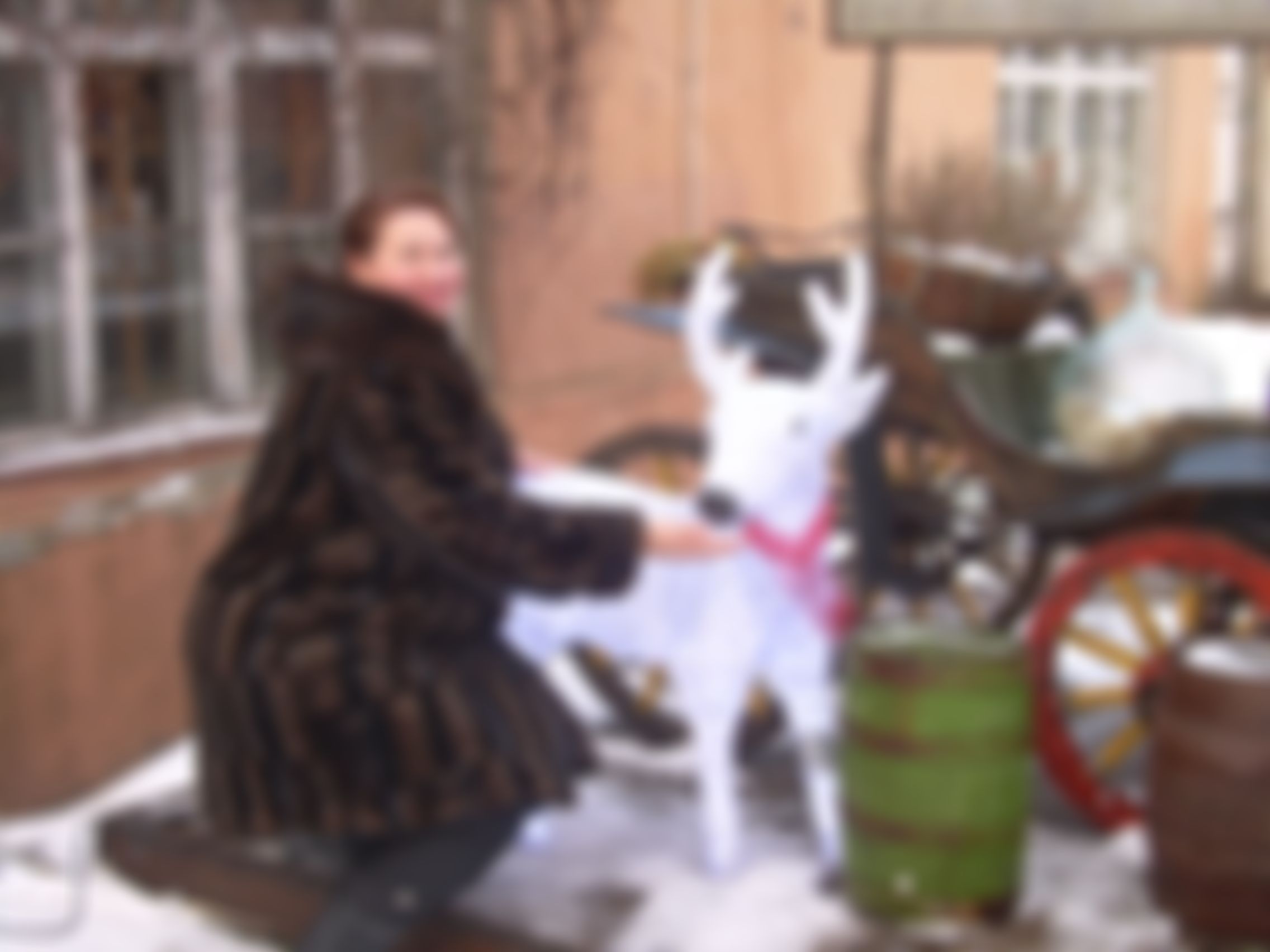 Фотография