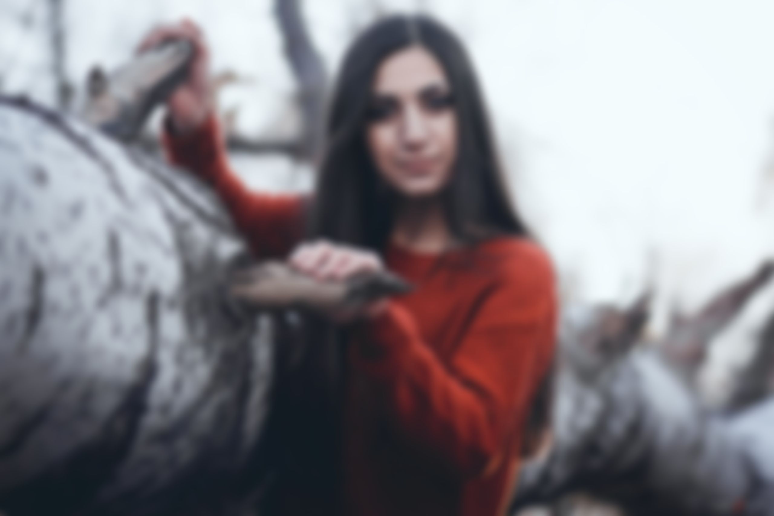 Фотография