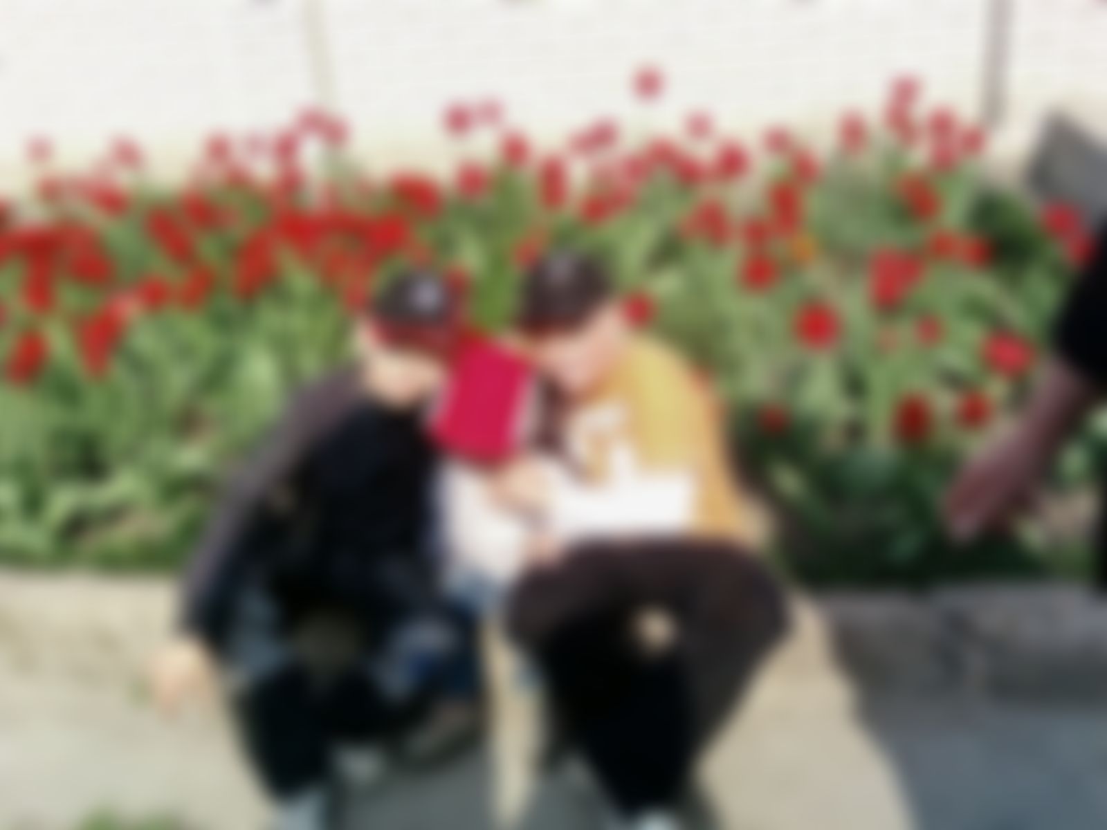 Фотография
