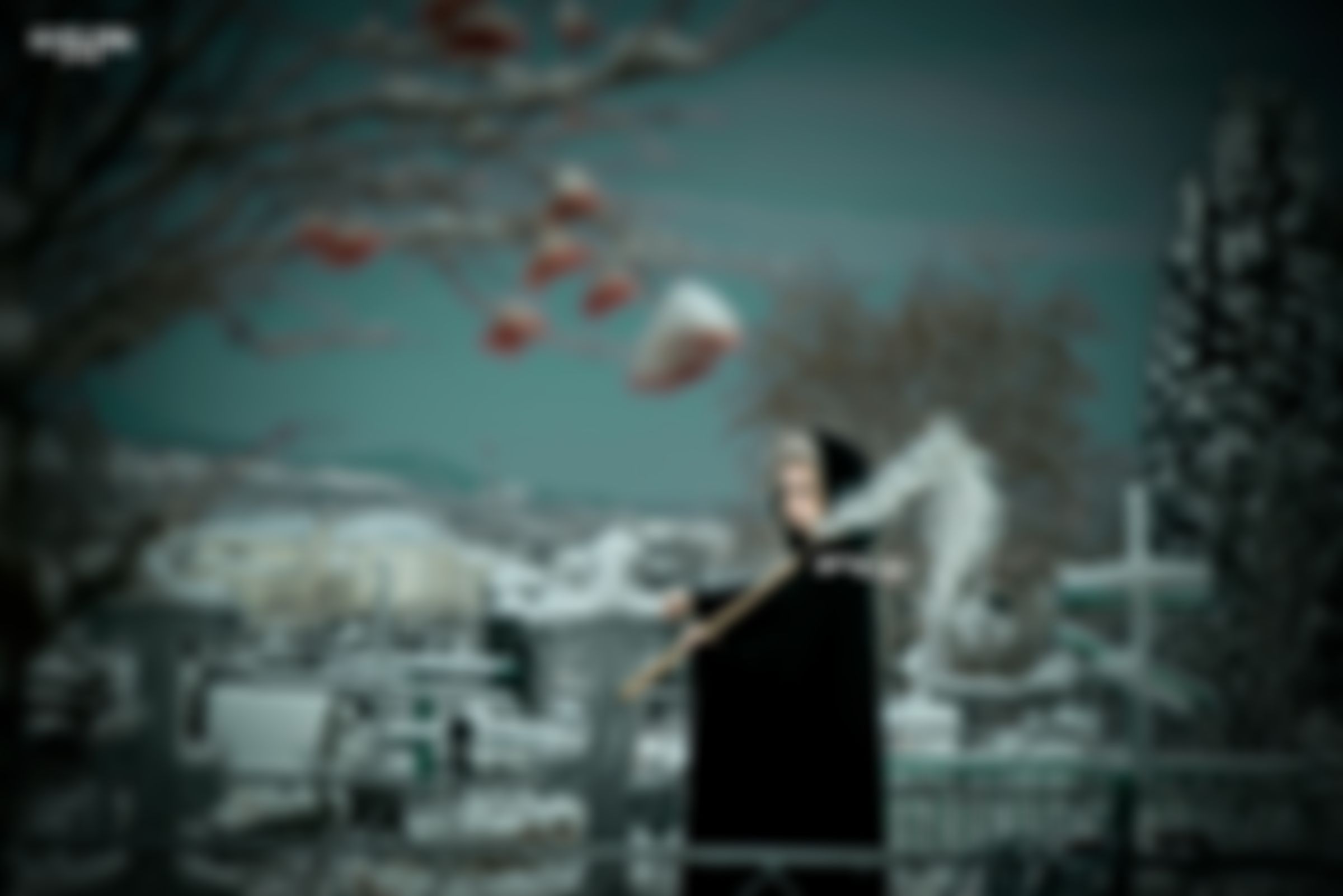 Фотография