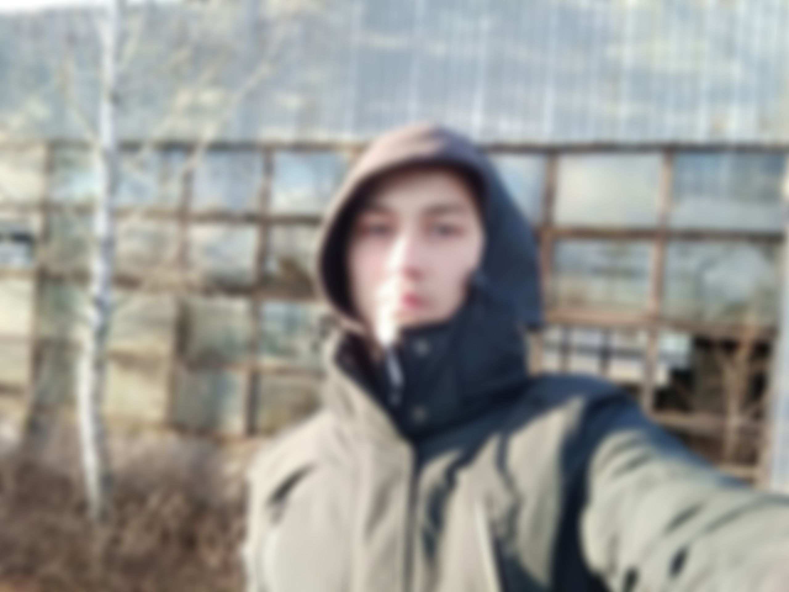 Фотография
