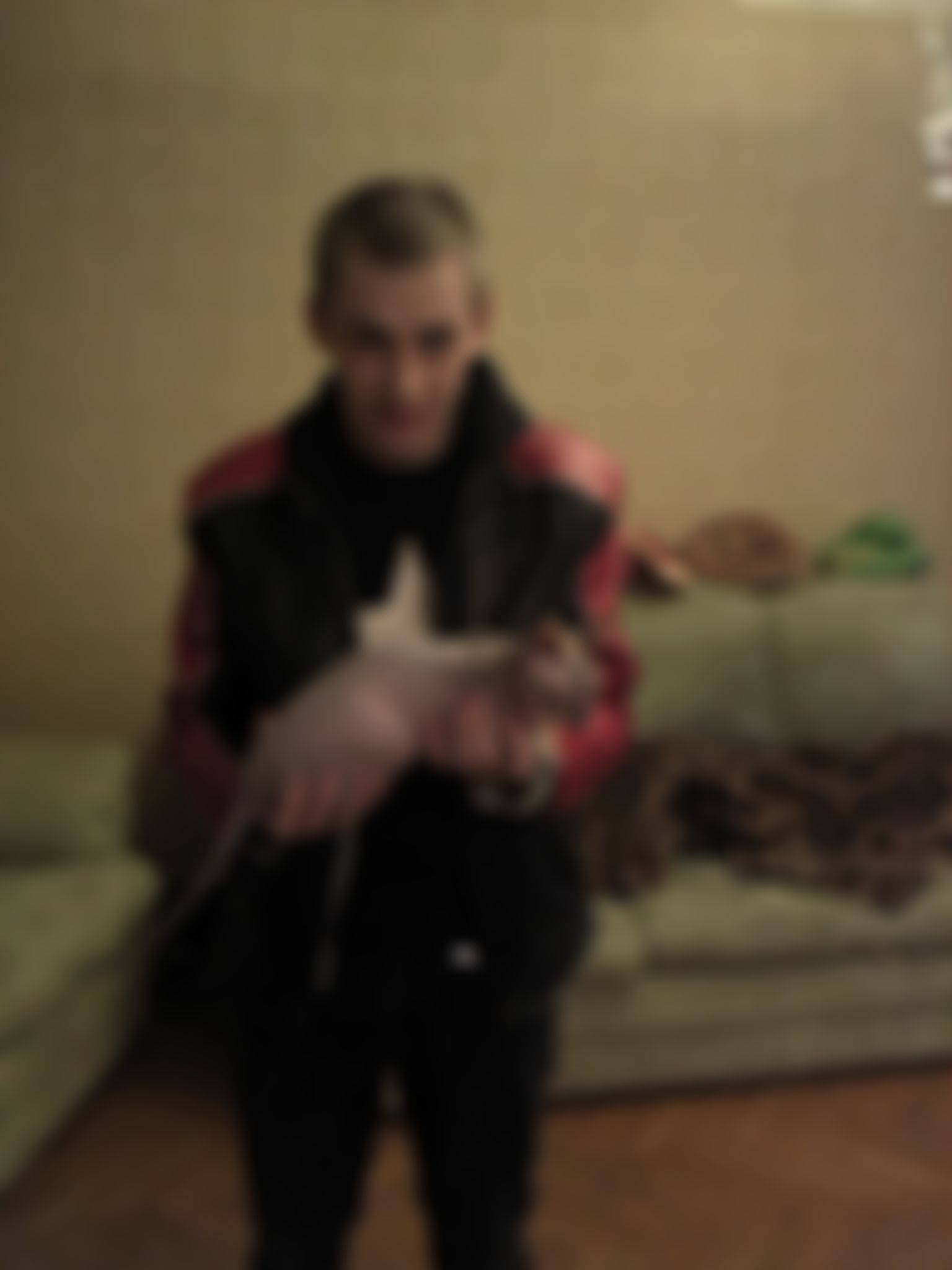 Фотография