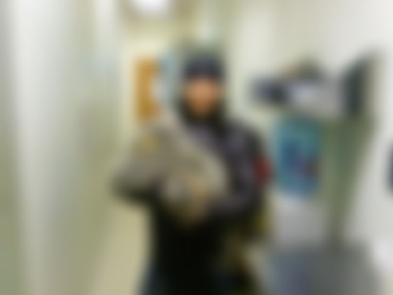 Фотография