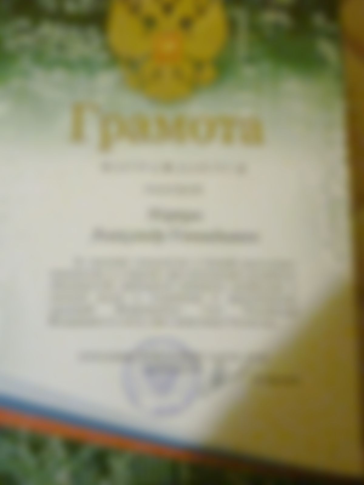 Фотография