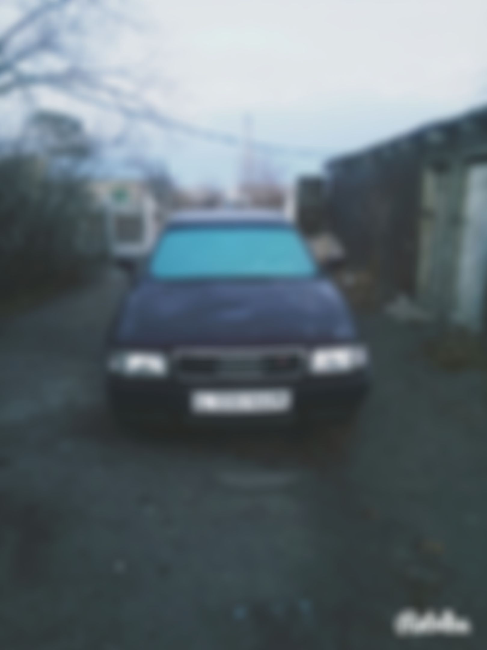 Фотография