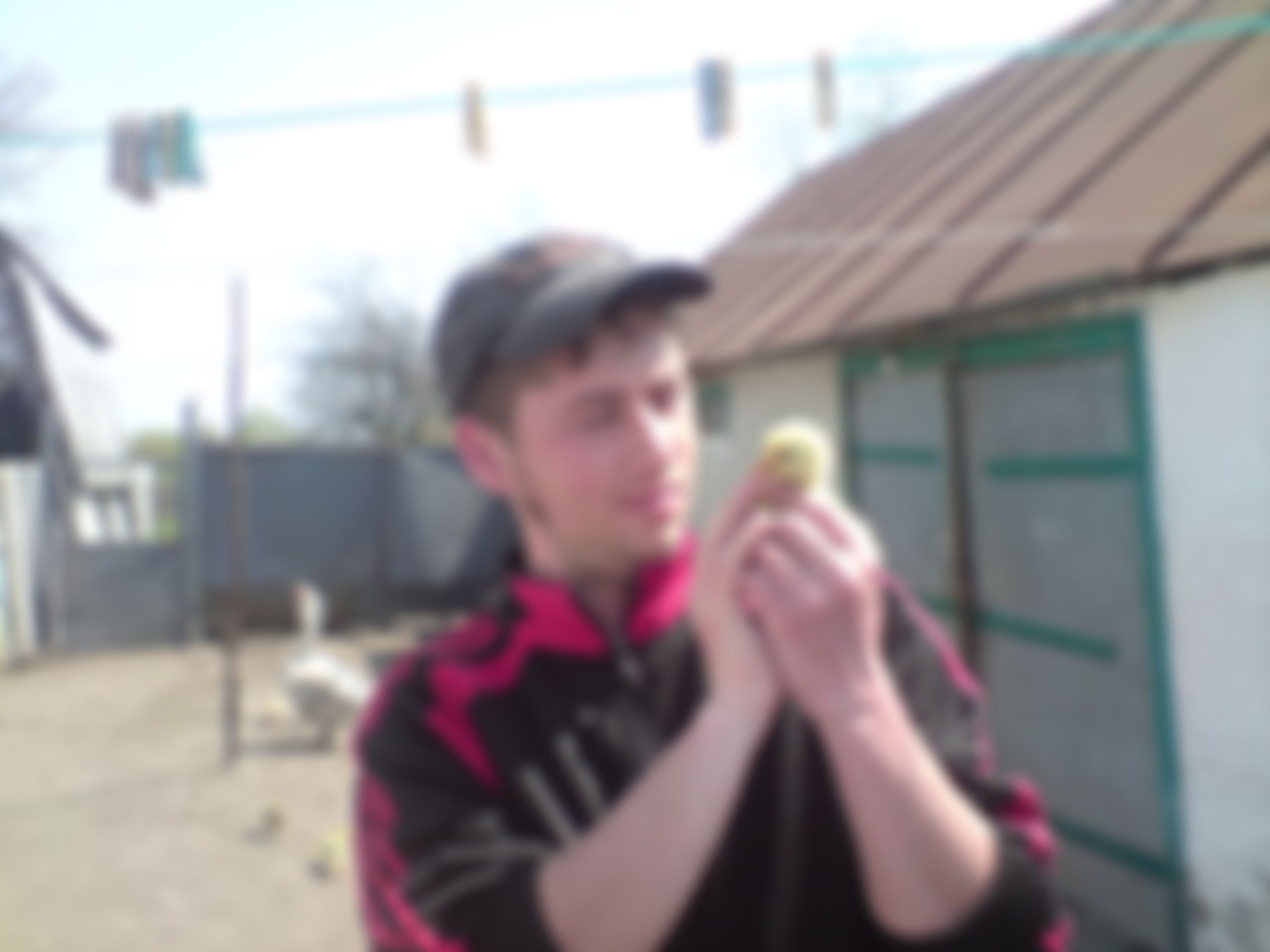Фотография