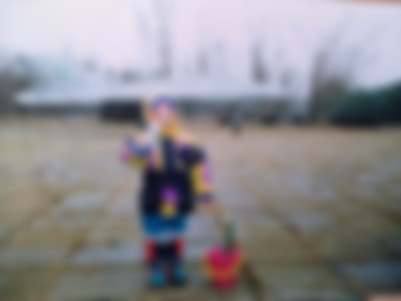 Фотография
