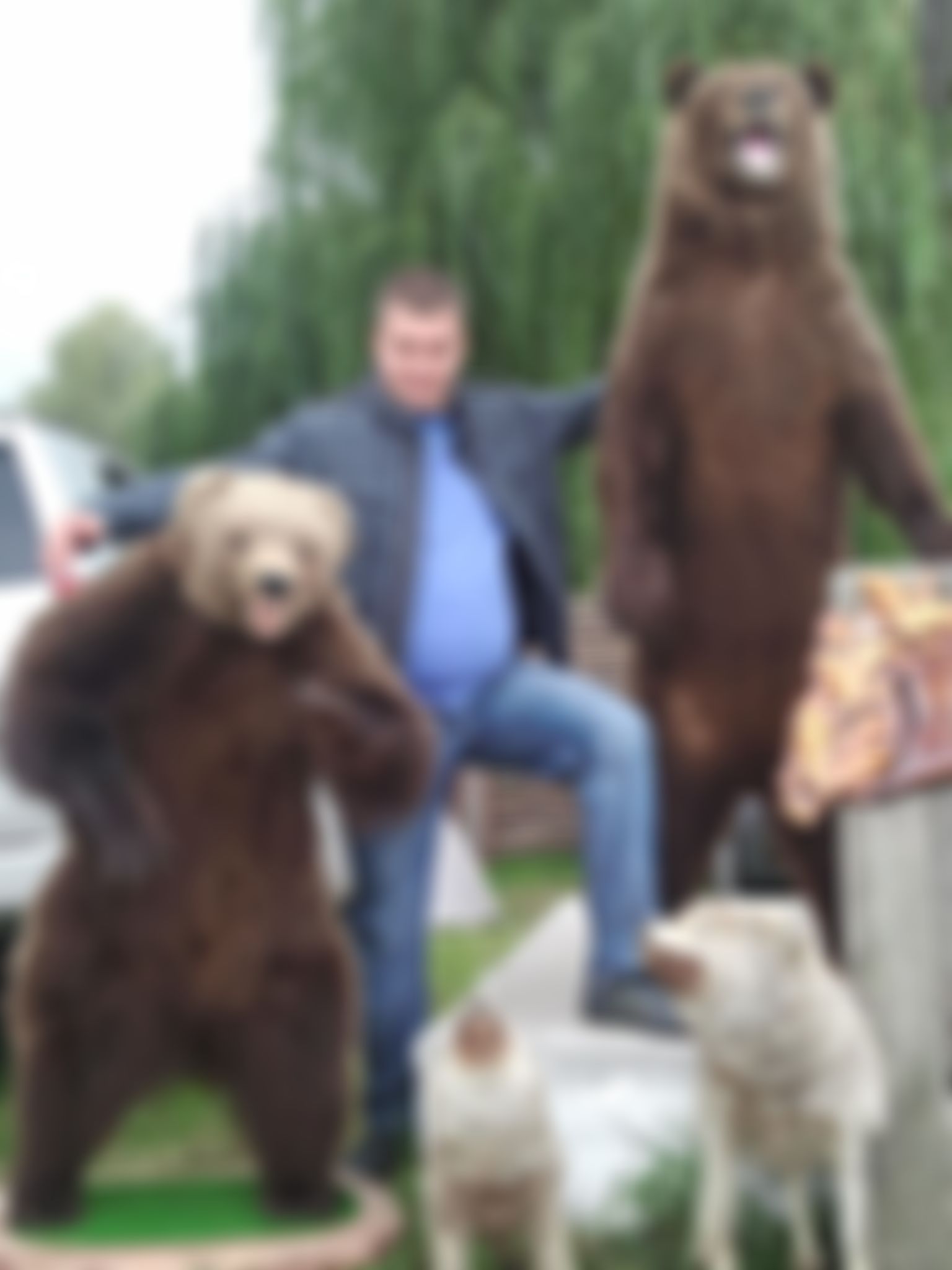 Фотография