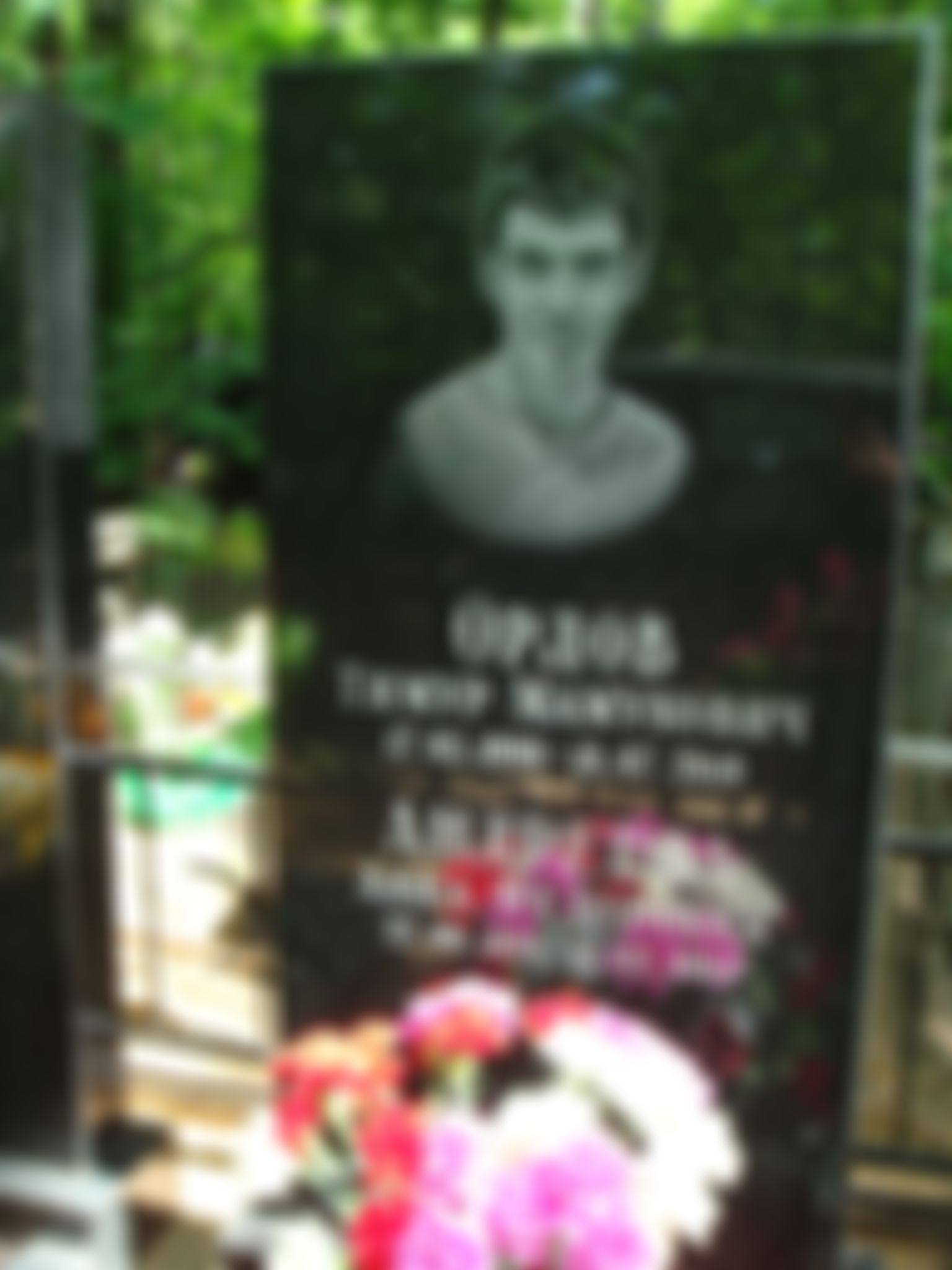 Фотография