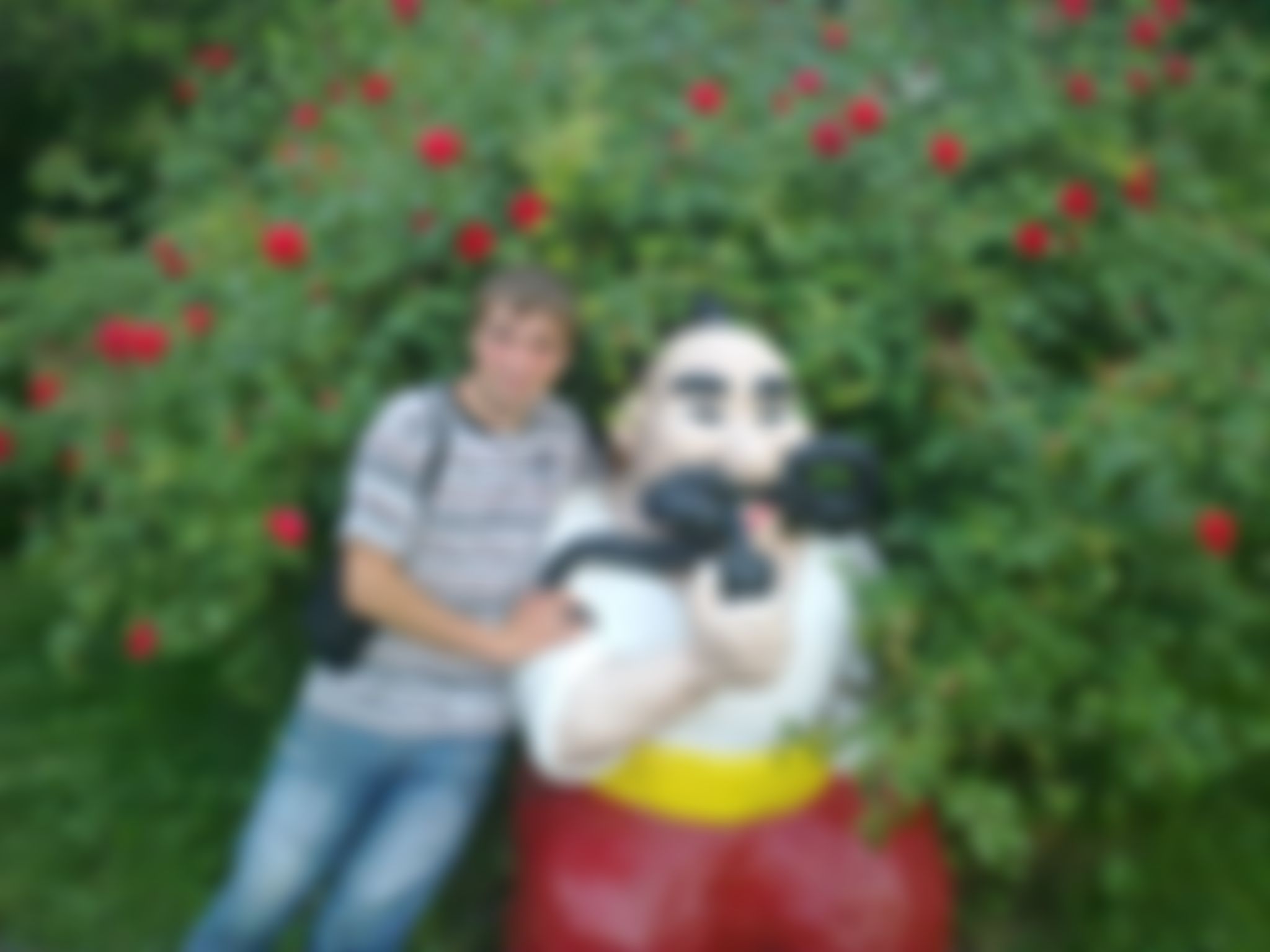 Фотография