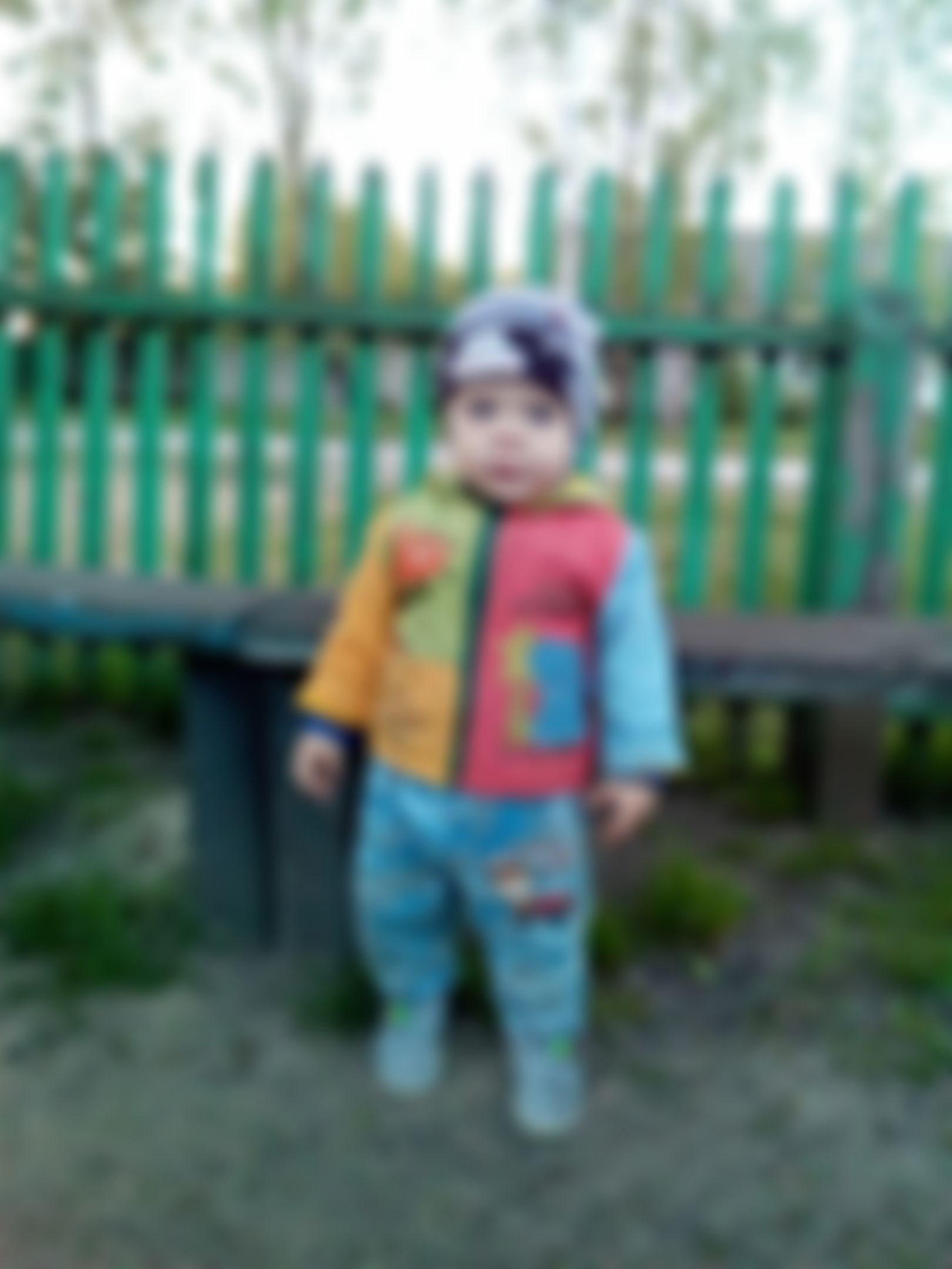 Фотография