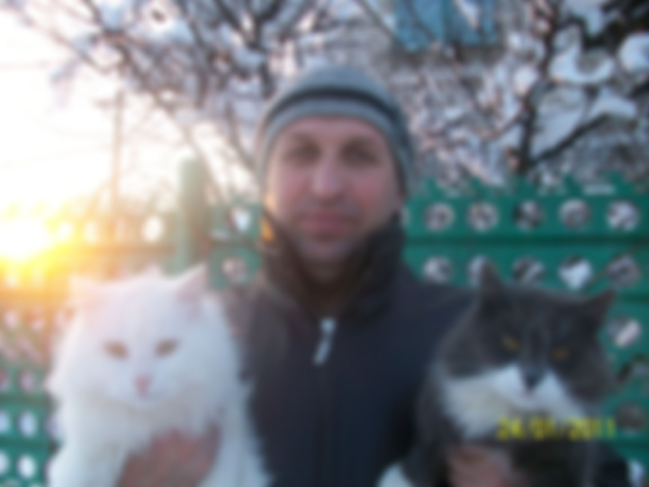 Фотография