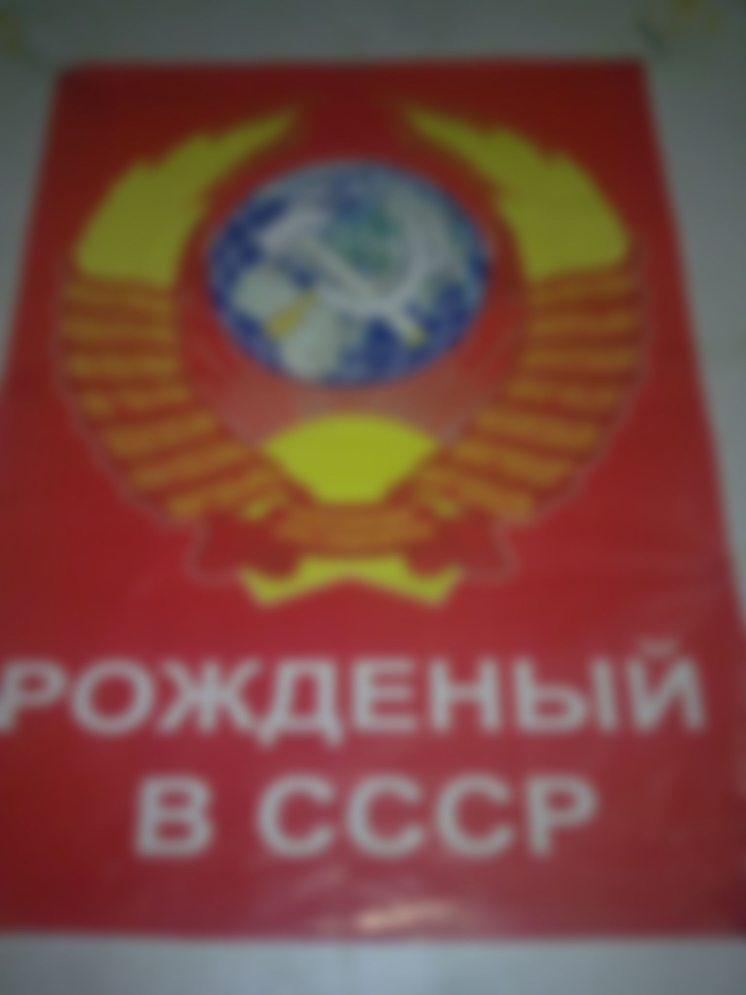 Фотография