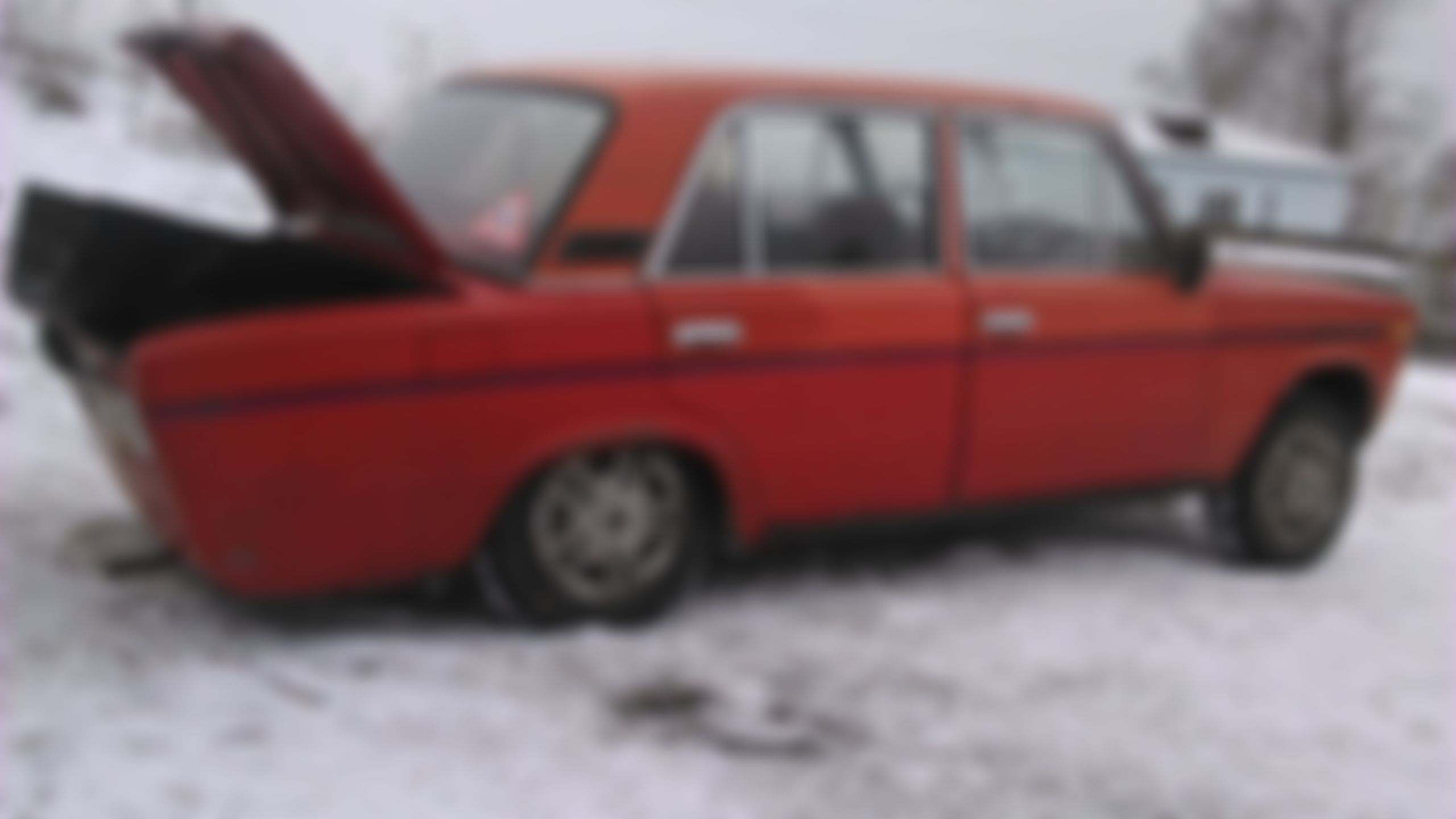 Фотография
