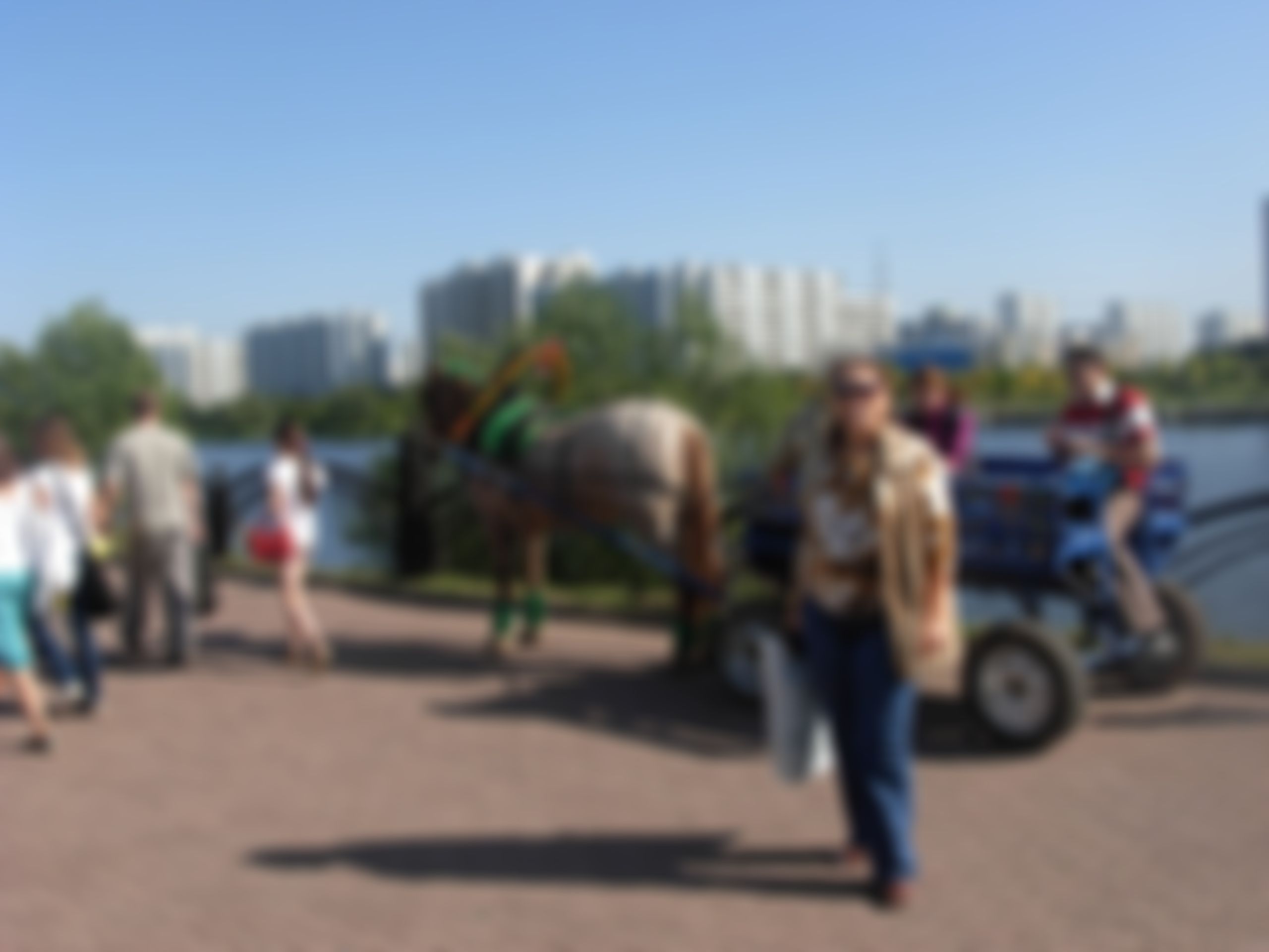Фотография