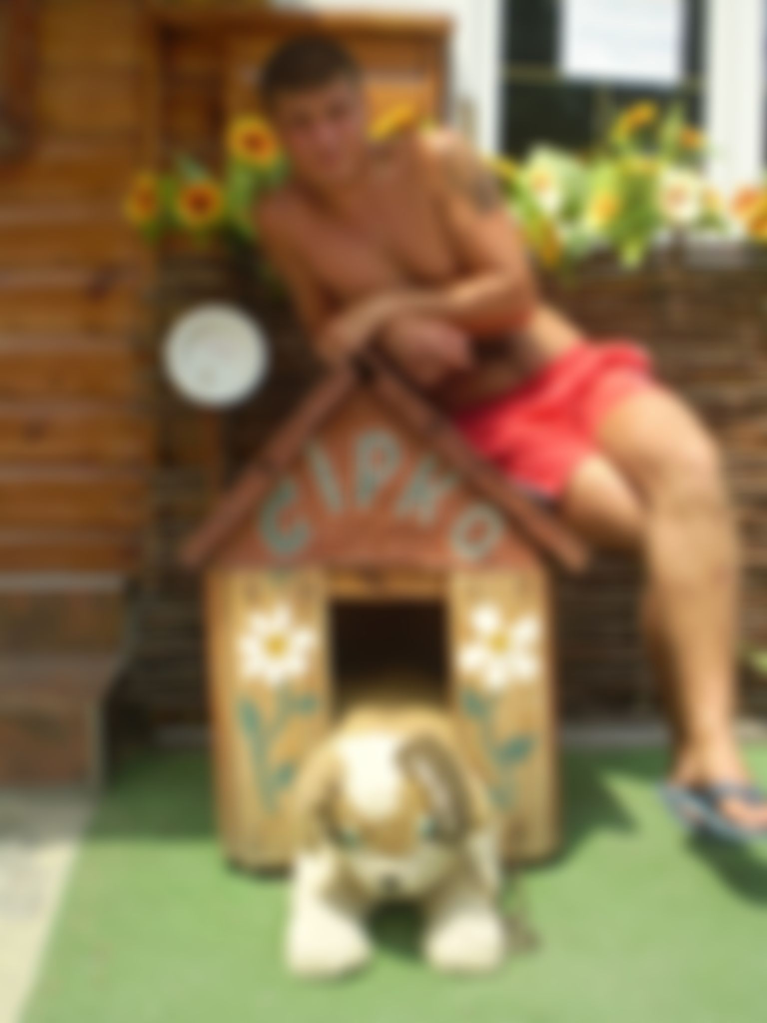 Фотография