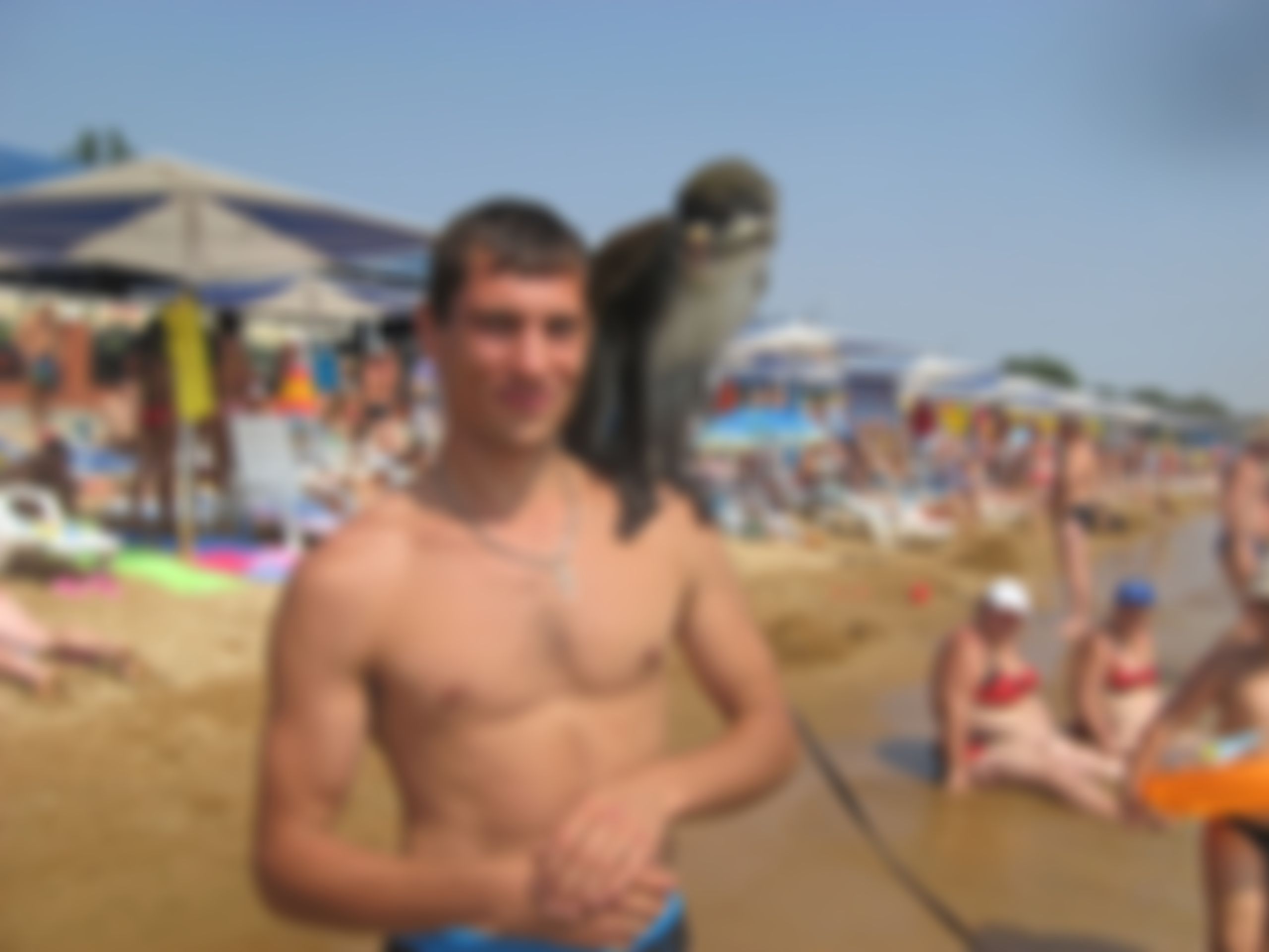Фотография