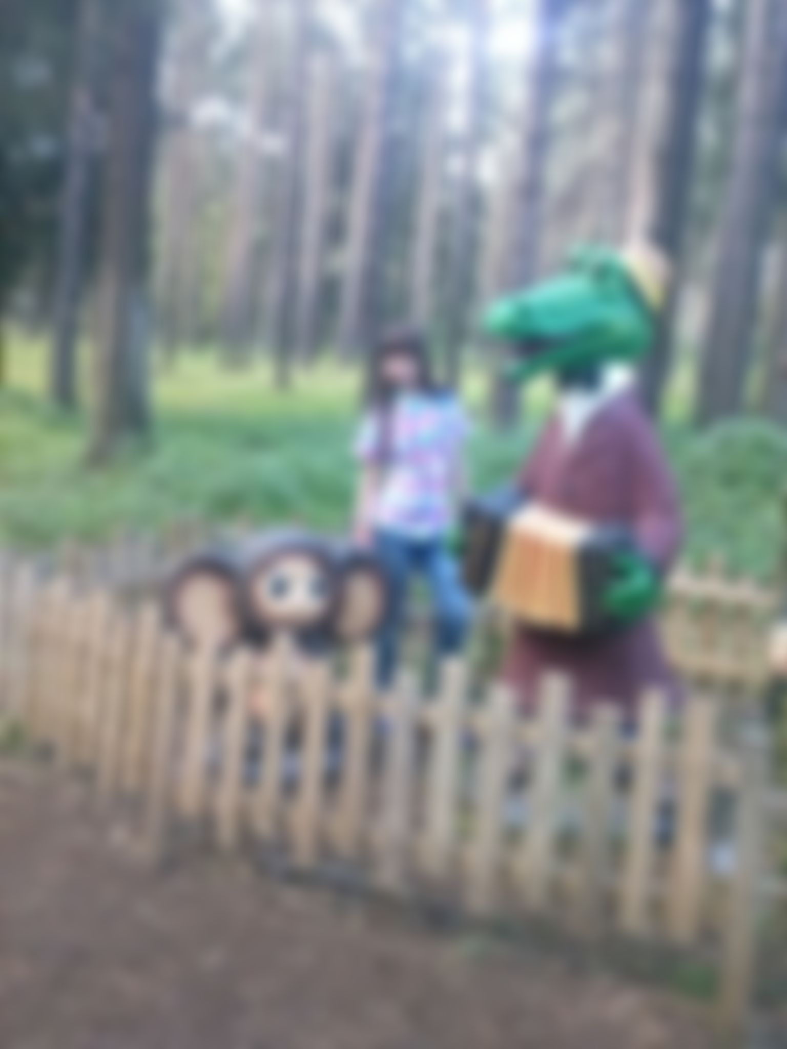 Фотография