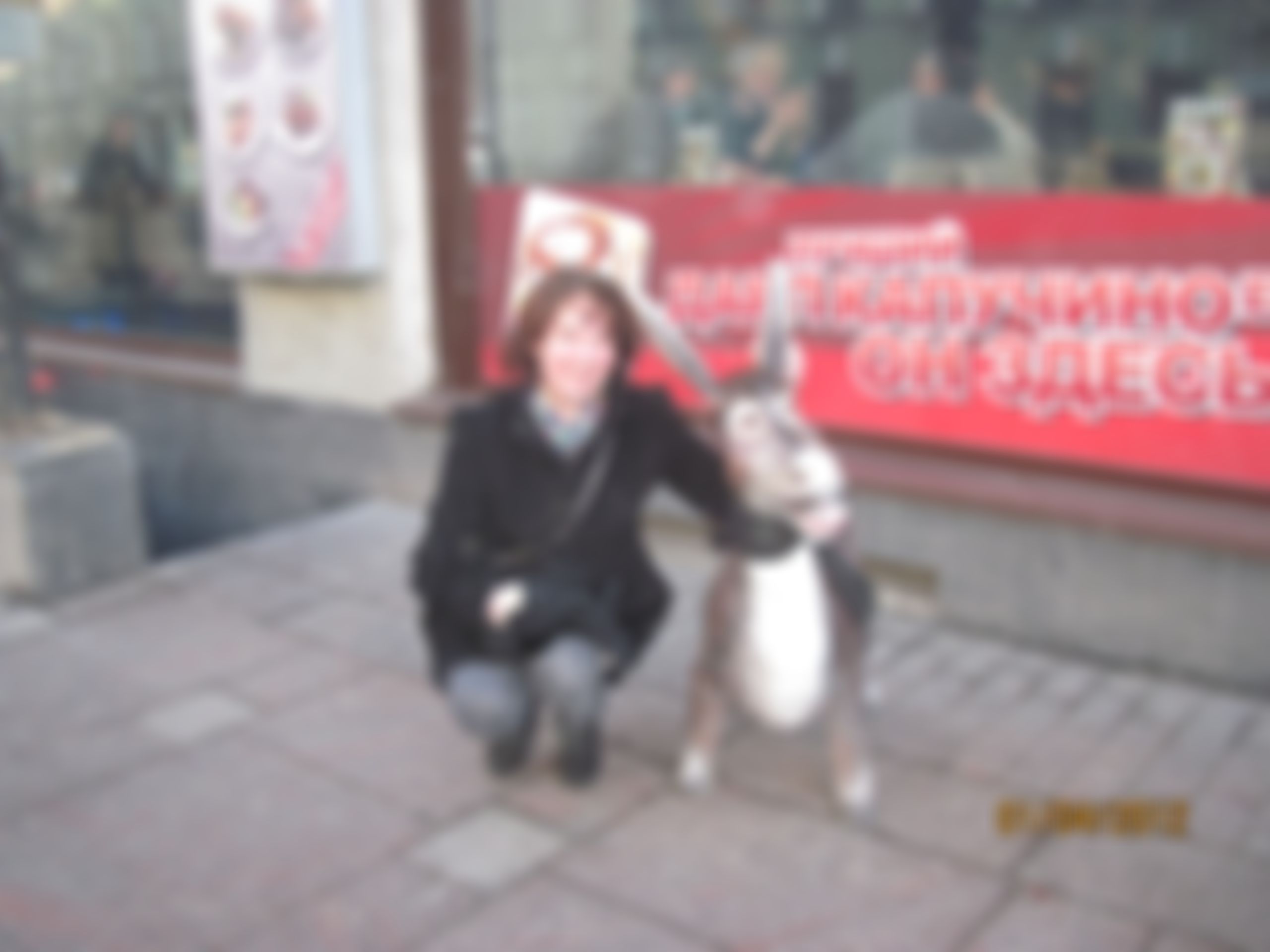 Фотография