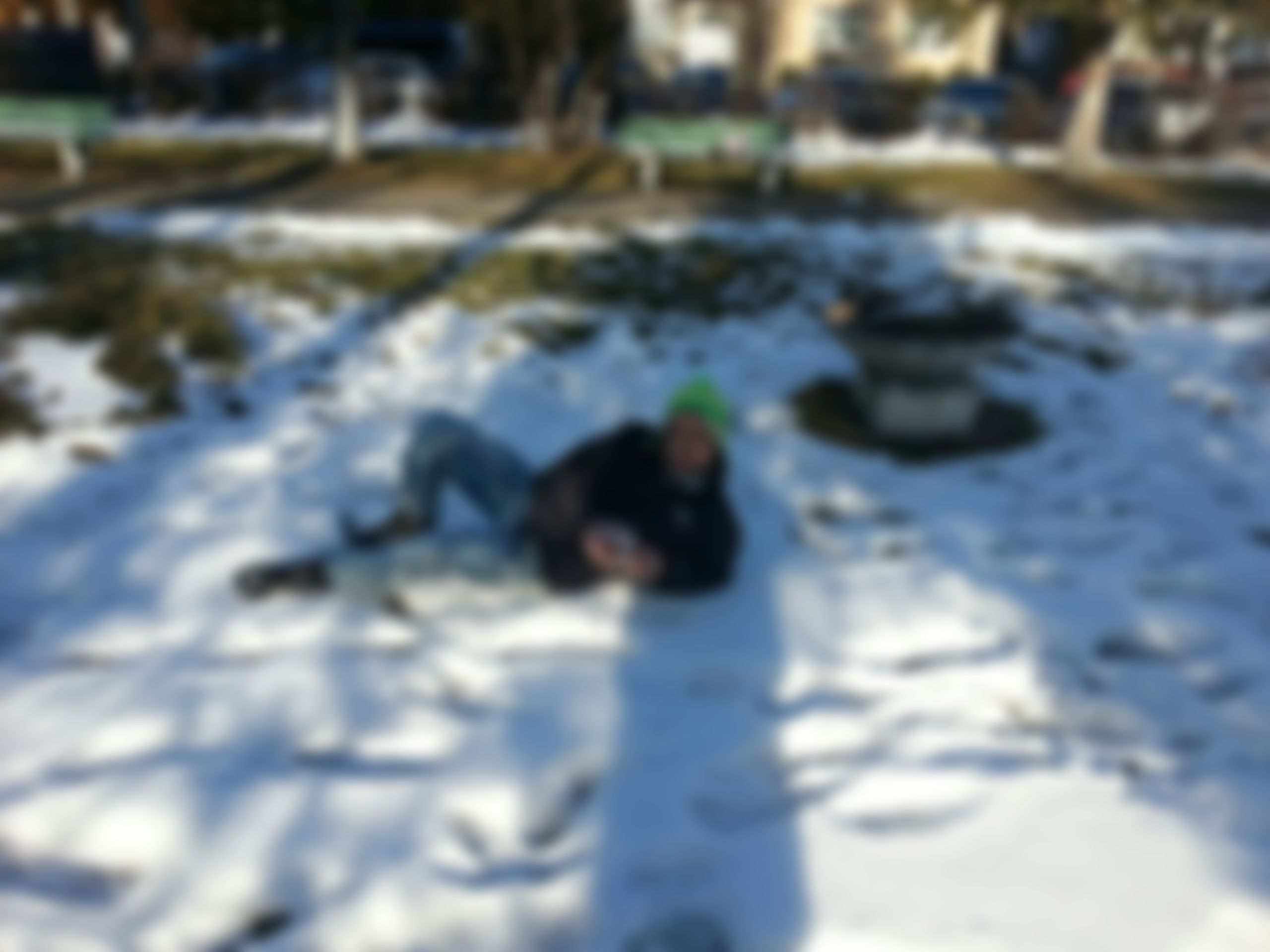 Фотография