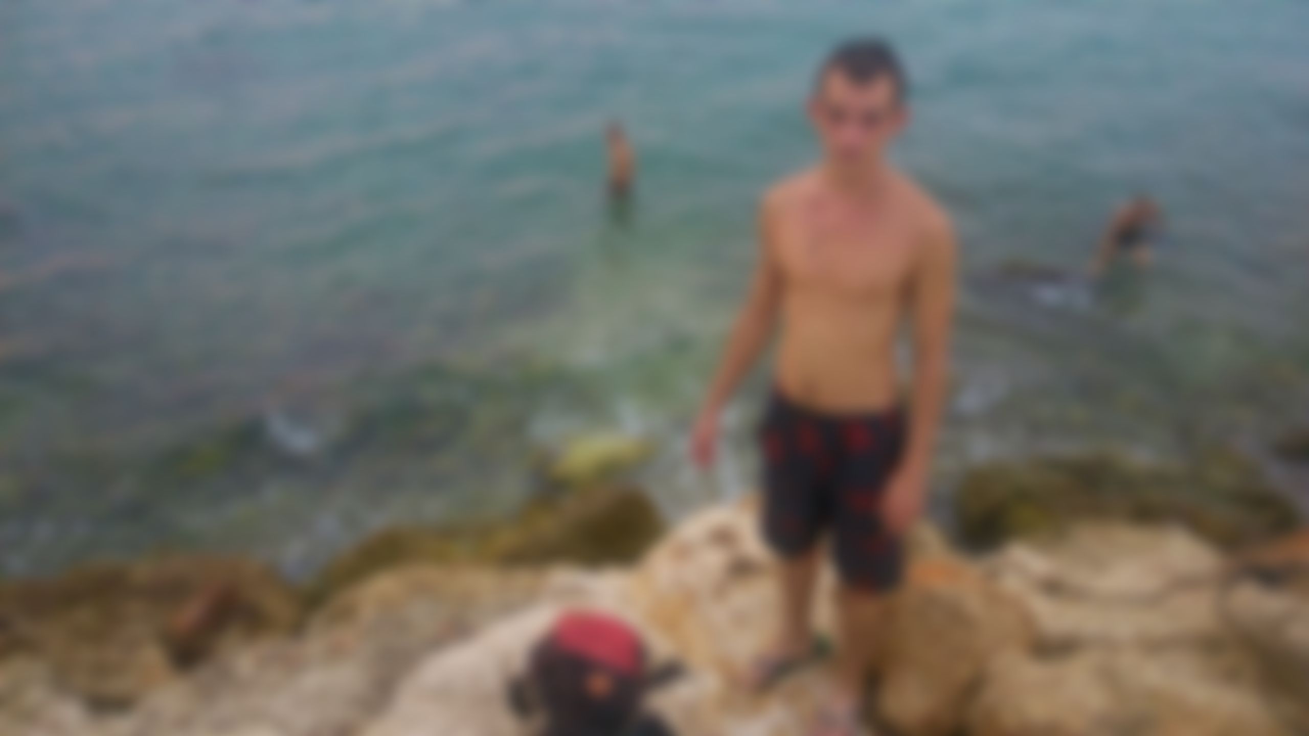Фотография