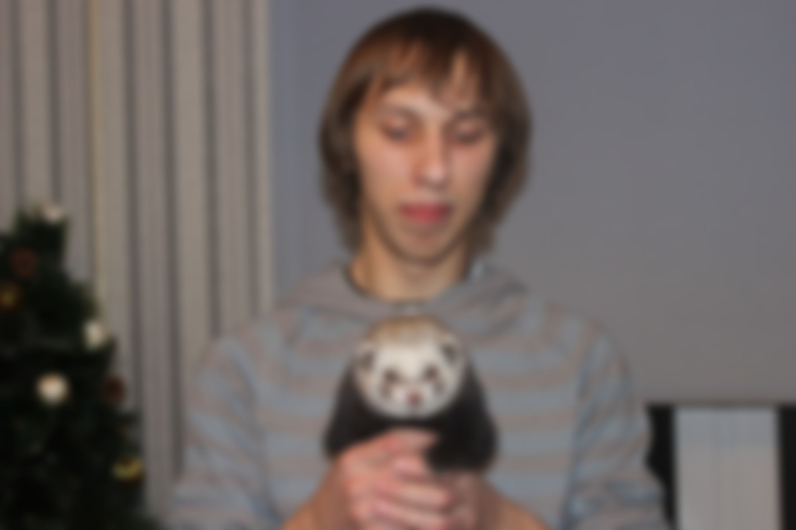 Фотография