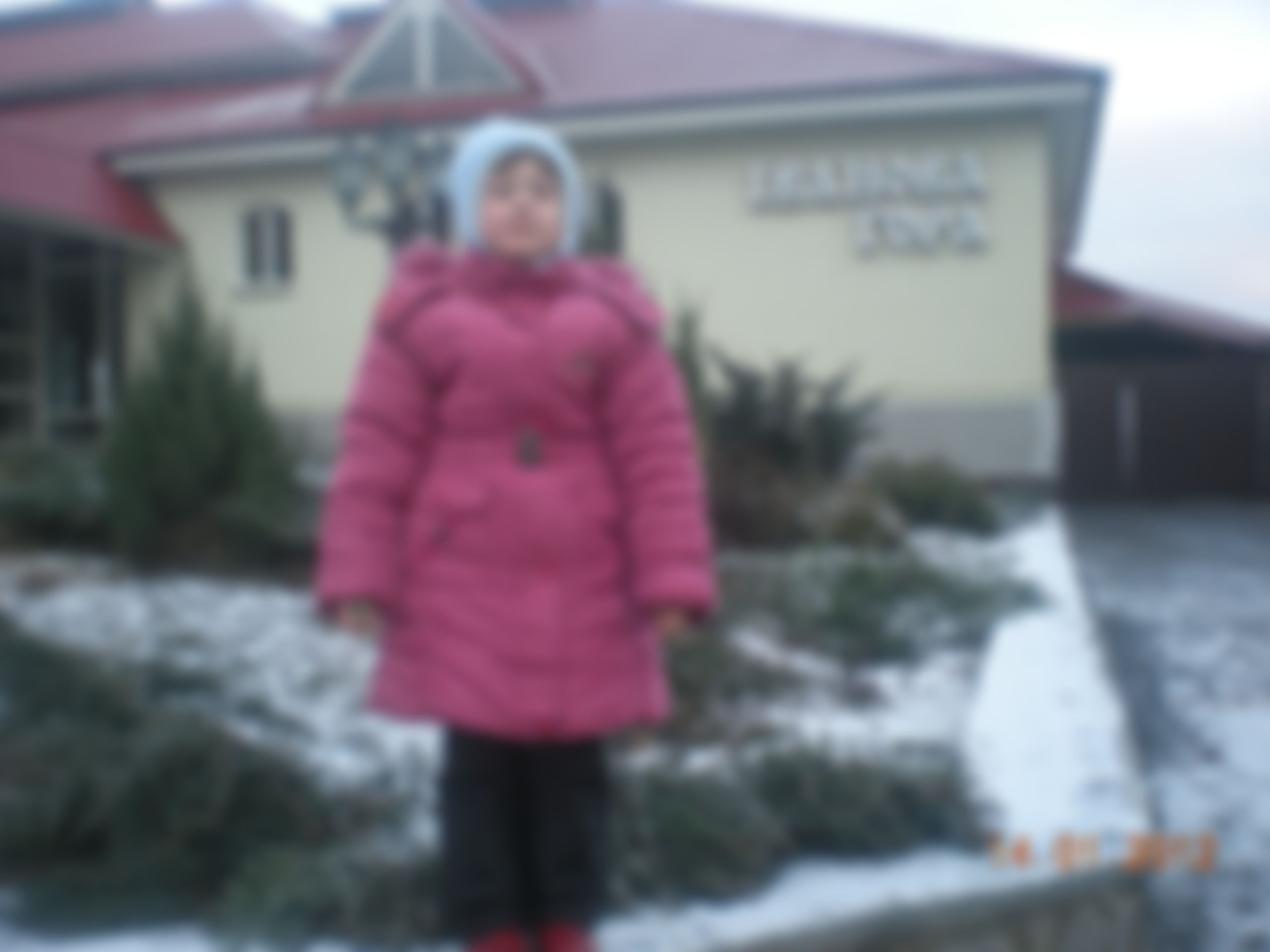 Фотография