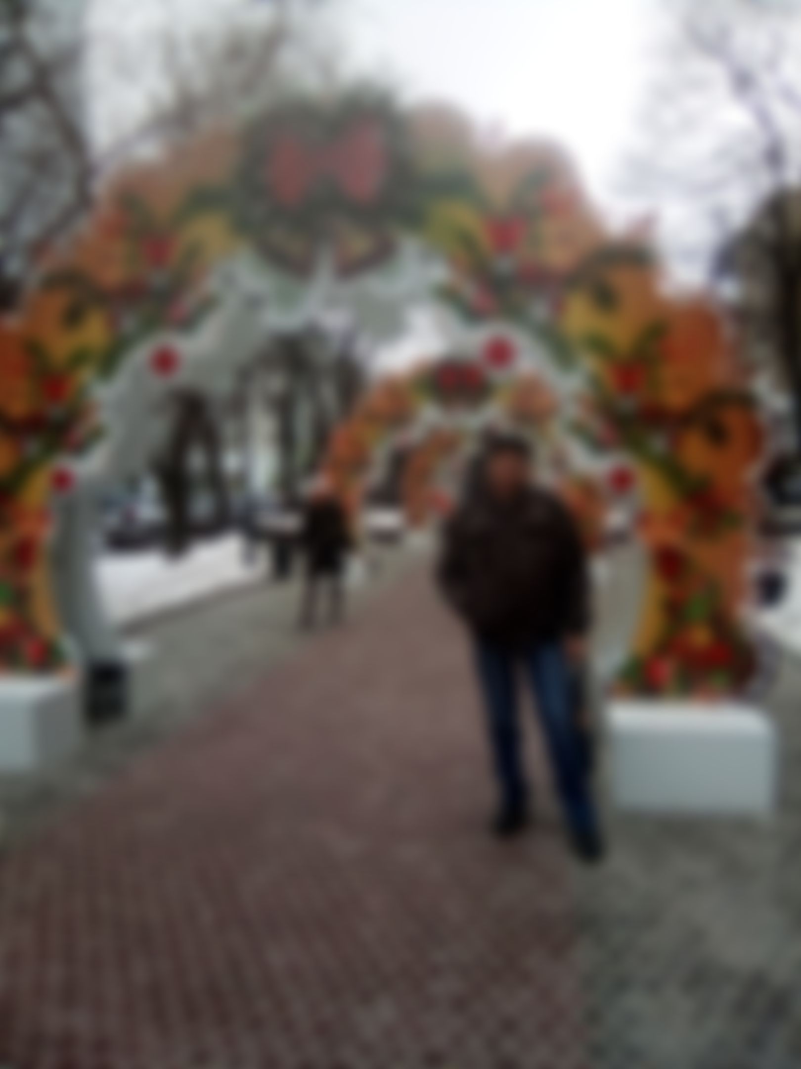 Фотография