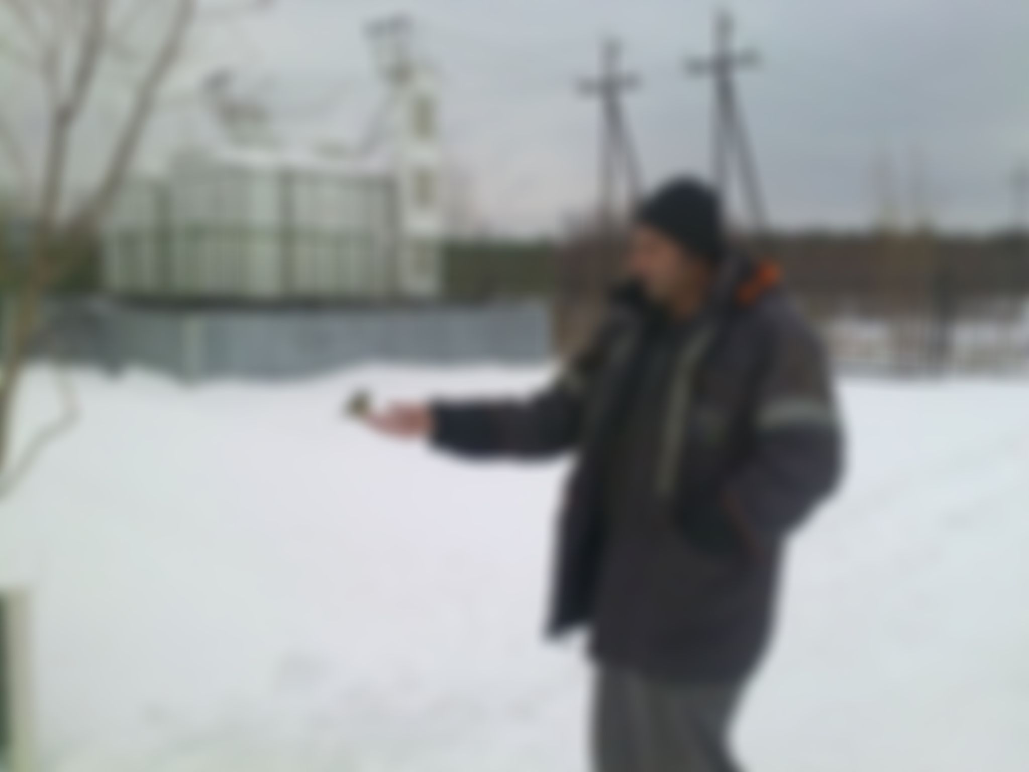 Фотография