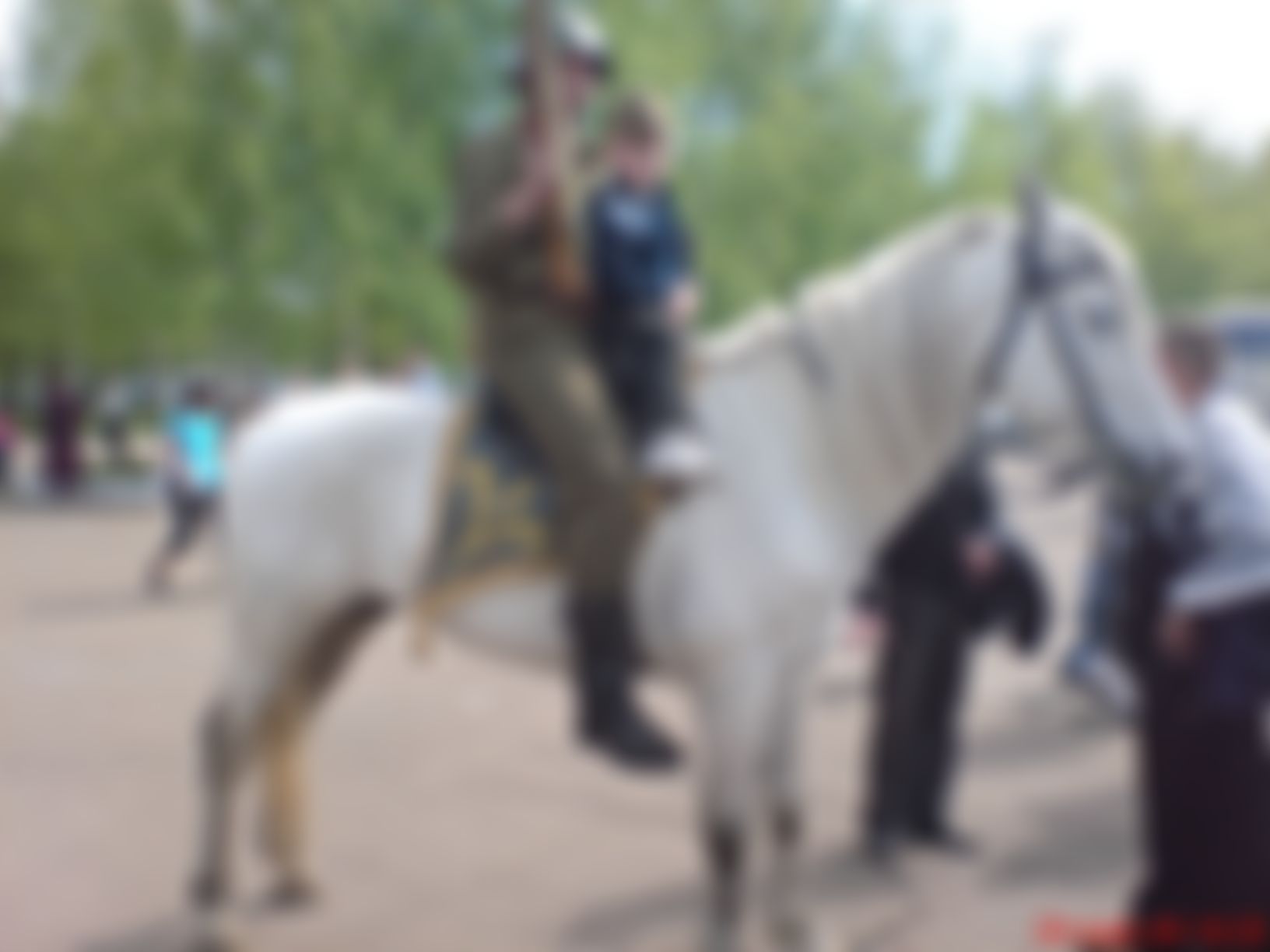 Фотография
