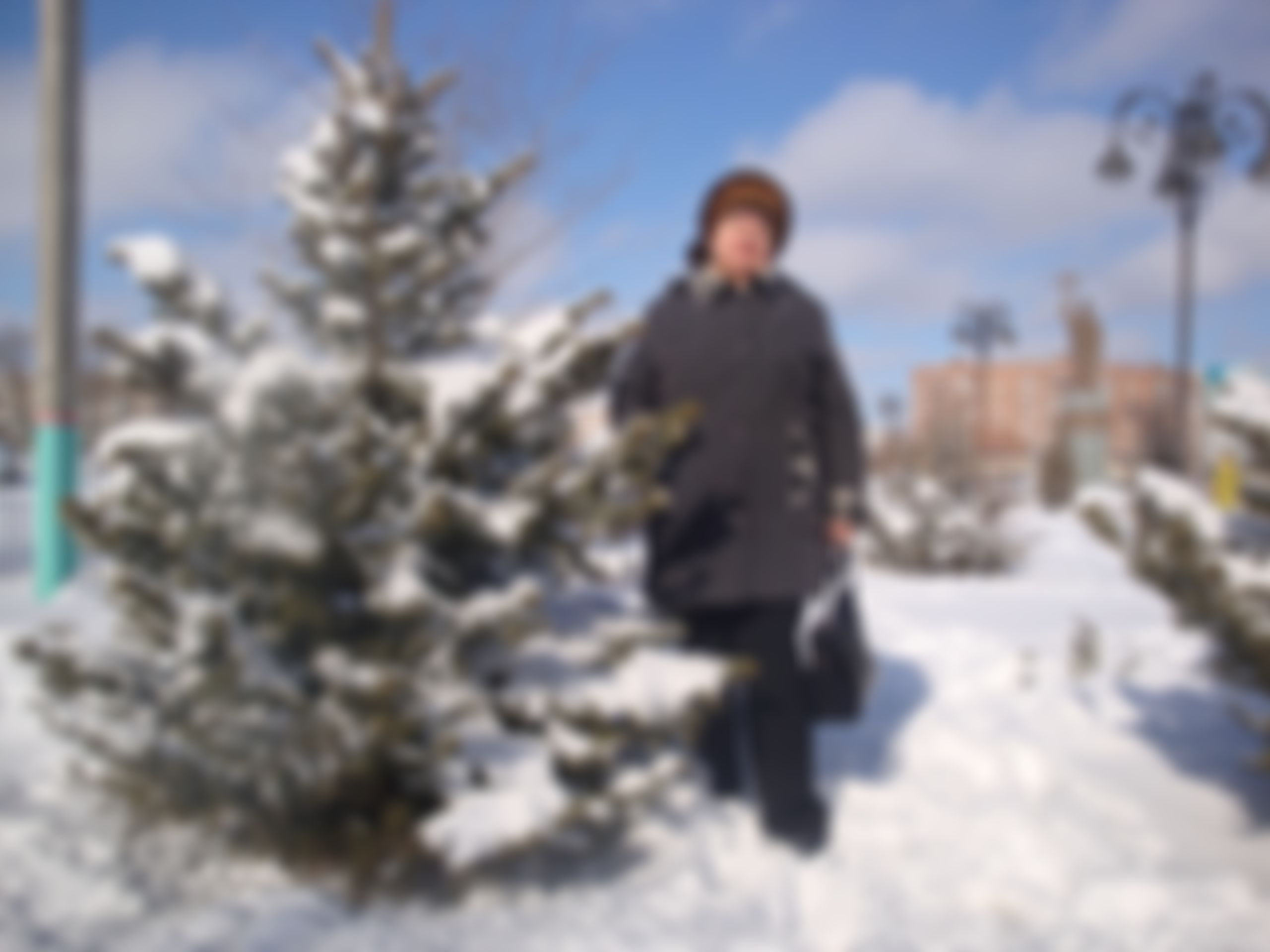 Фотография
