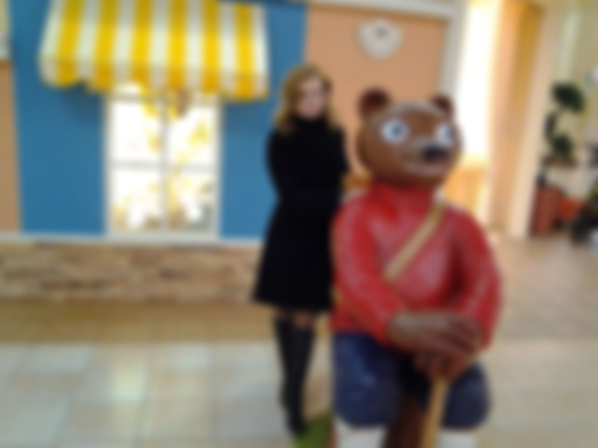 Фотография