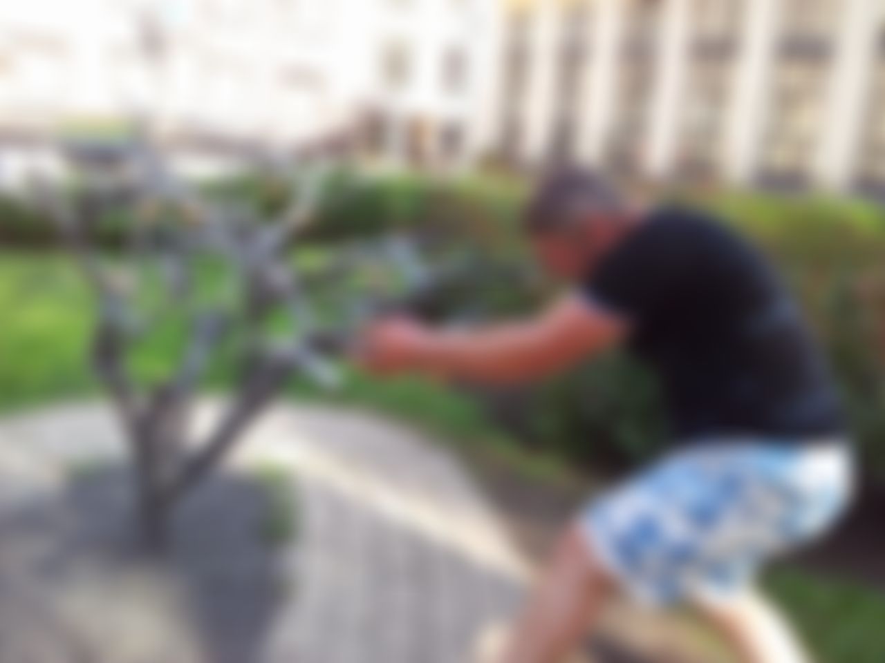 Фотография