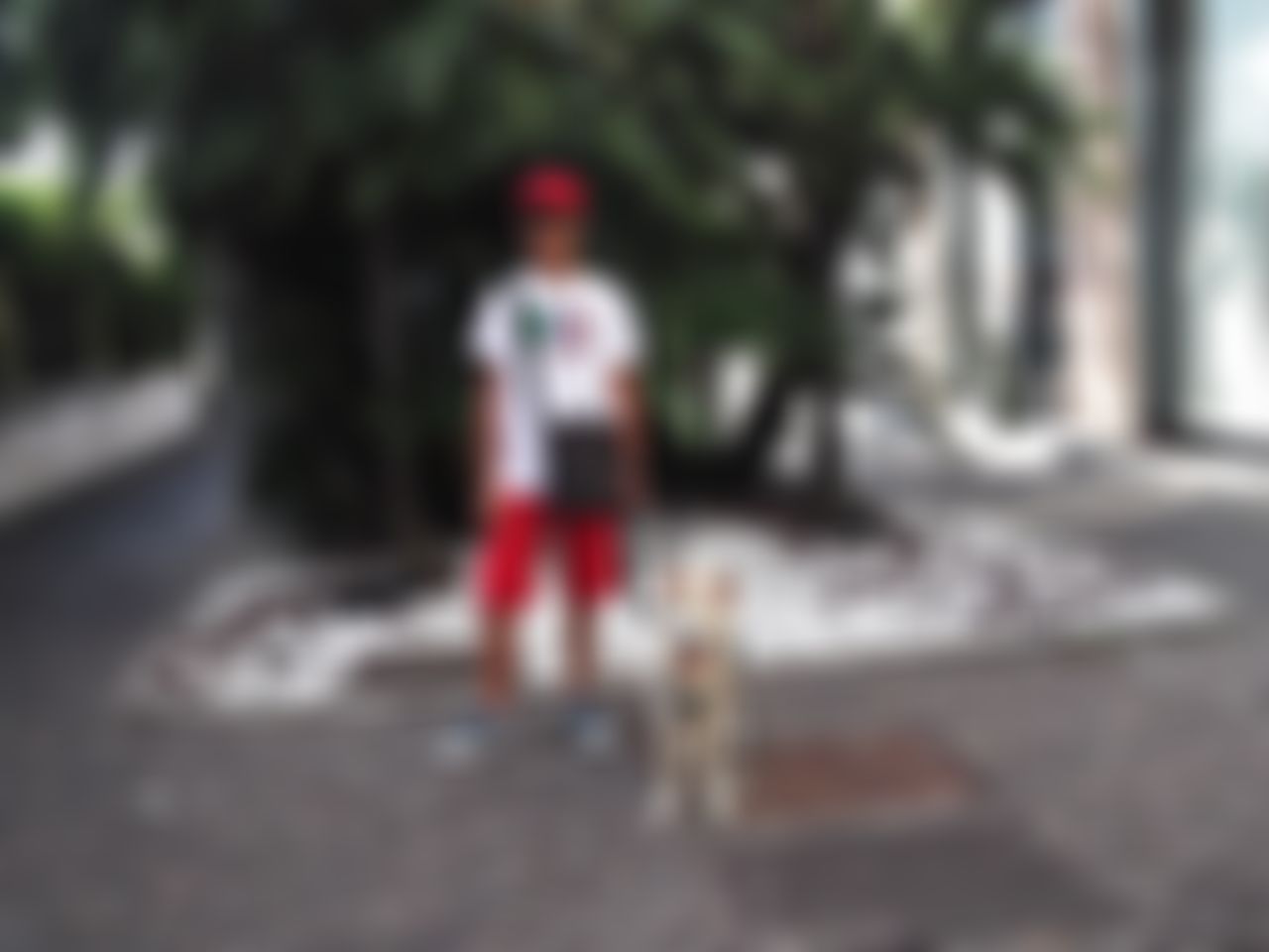 Фотография