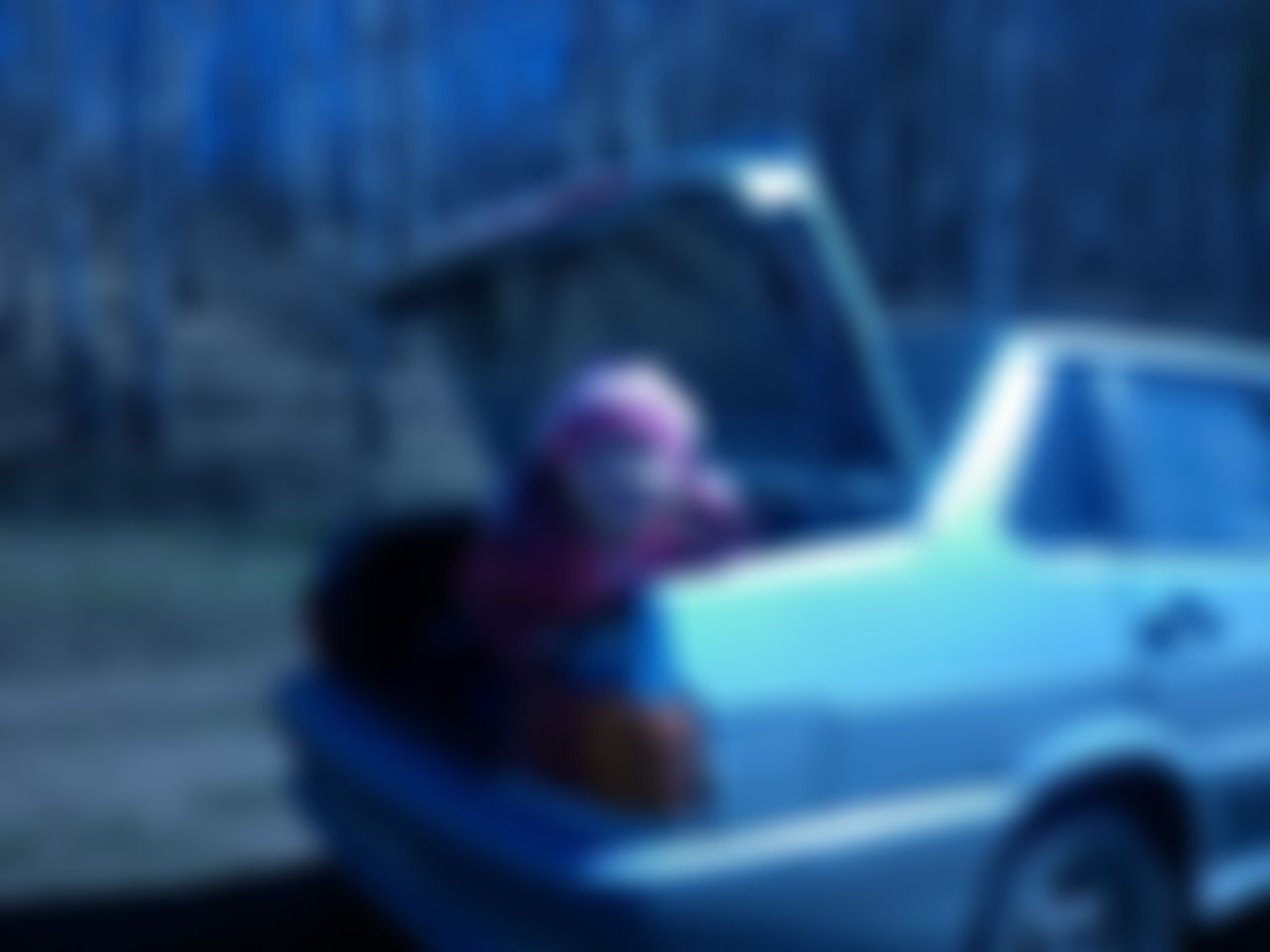 Фотография